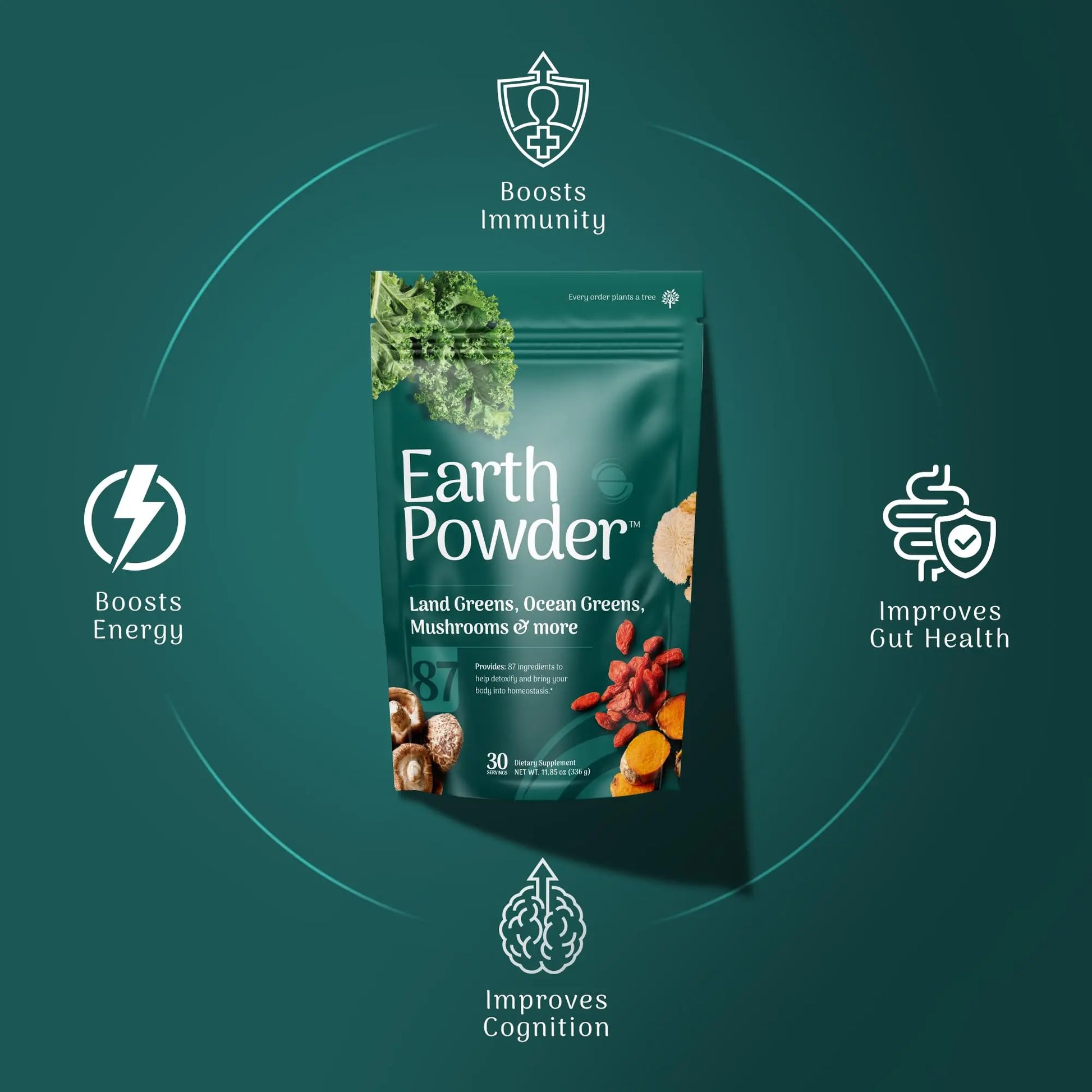 Earth Powder Daily Foundational Nutrition Supplement with 28 Greens & 10 Mushrooms | 87 Nutrients for Energy, Gut Health & Mental Clarity Earth Powdernz supplements