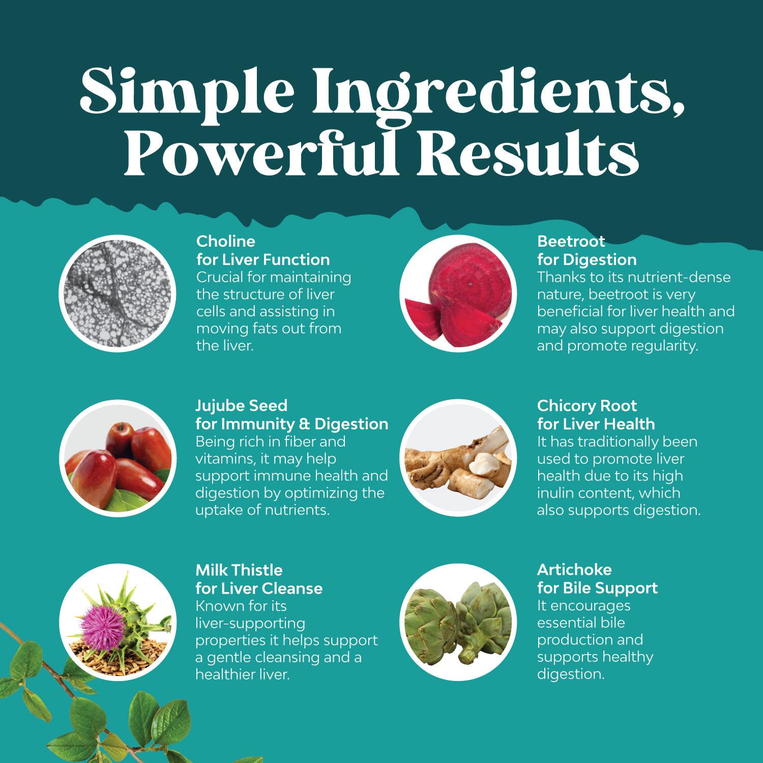 Liver Cleanse Detox & Repair Formula - Herbal Liver Support Supplement Natures CraftAu supplements
