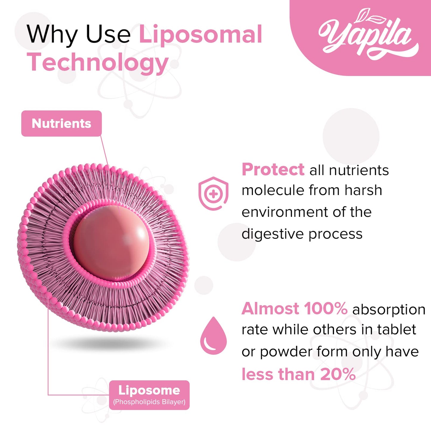 Liposomal Collagen Biotin Capsules, Hydrolyzed Bovine Collagen Peptides 1700 mg, Types 1 & 3 Protein YapilaUS supplements