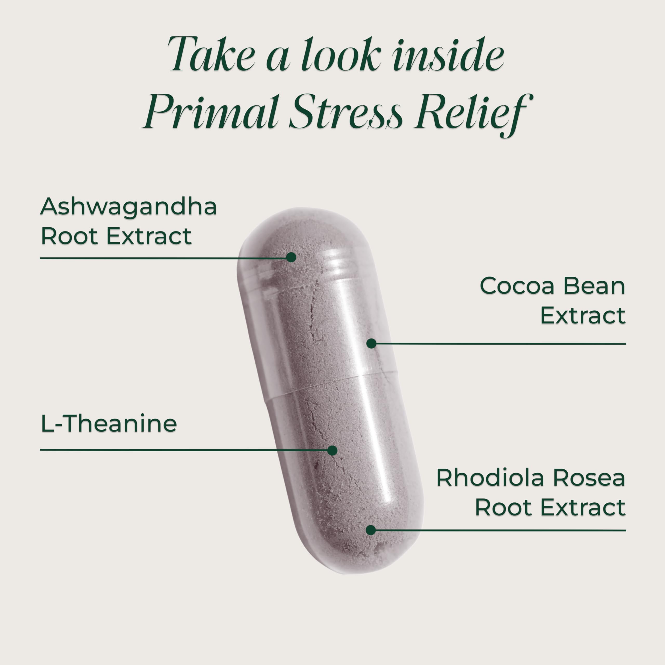 Primal Harvest Stress Relief Supplement for Women and Men Pure Ashwagandha Root Extract, L-Theanine Supplements, 30 Capsules Primal HarvestAu supplements