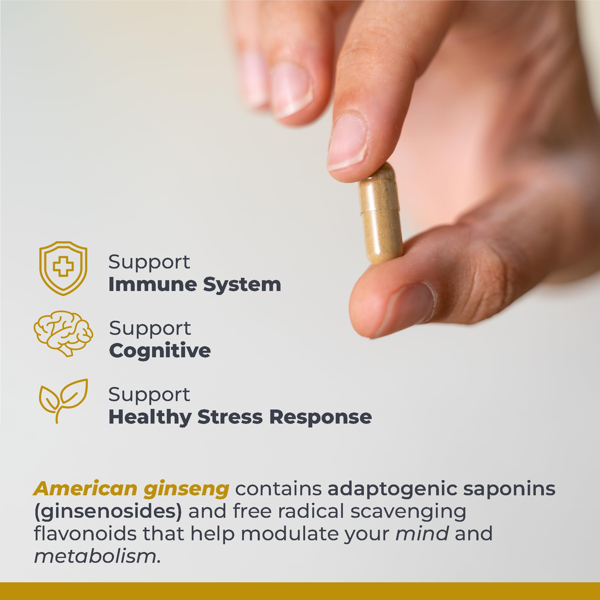Premier Research Labs American Ginseng Supplement - American Ginseng Capsules, Herbal Ginseng Root Pills, North American Ginseng Herb Extract, Calming Energy Supplement - 60 Plant-Based Capsules Premier Research LabsAu supplements