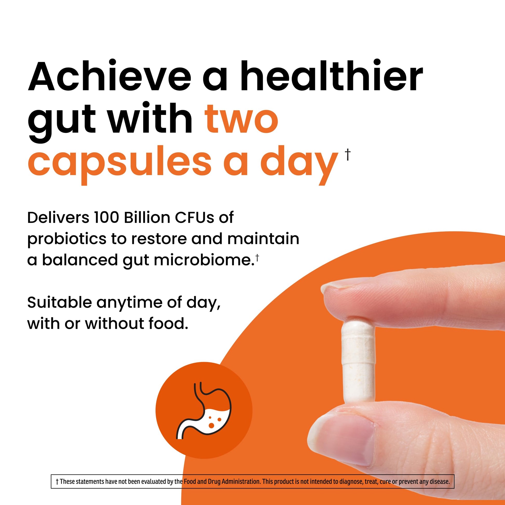 Ombre Healthy Gut Probiotics for Digestive Health 100 Billion CFU - Prebiotics and Probiotics for Women & Men with Lactobacillus Acidophilus & Digestive Enzymes, Gut Health Support, Vegan, 30 Servings OmbreAu supplements