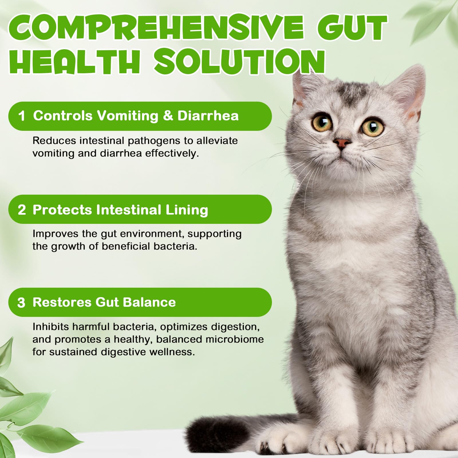 Liquid Cat Probiotic, Natural 3 in 1 Probiotic for Cats, Cat Digestive Support,Gut Health Support,Help with Diarrhea,Gas and Bloating, Cat Herbal Supplements- 60ml VOSIFSDIYAu supplements