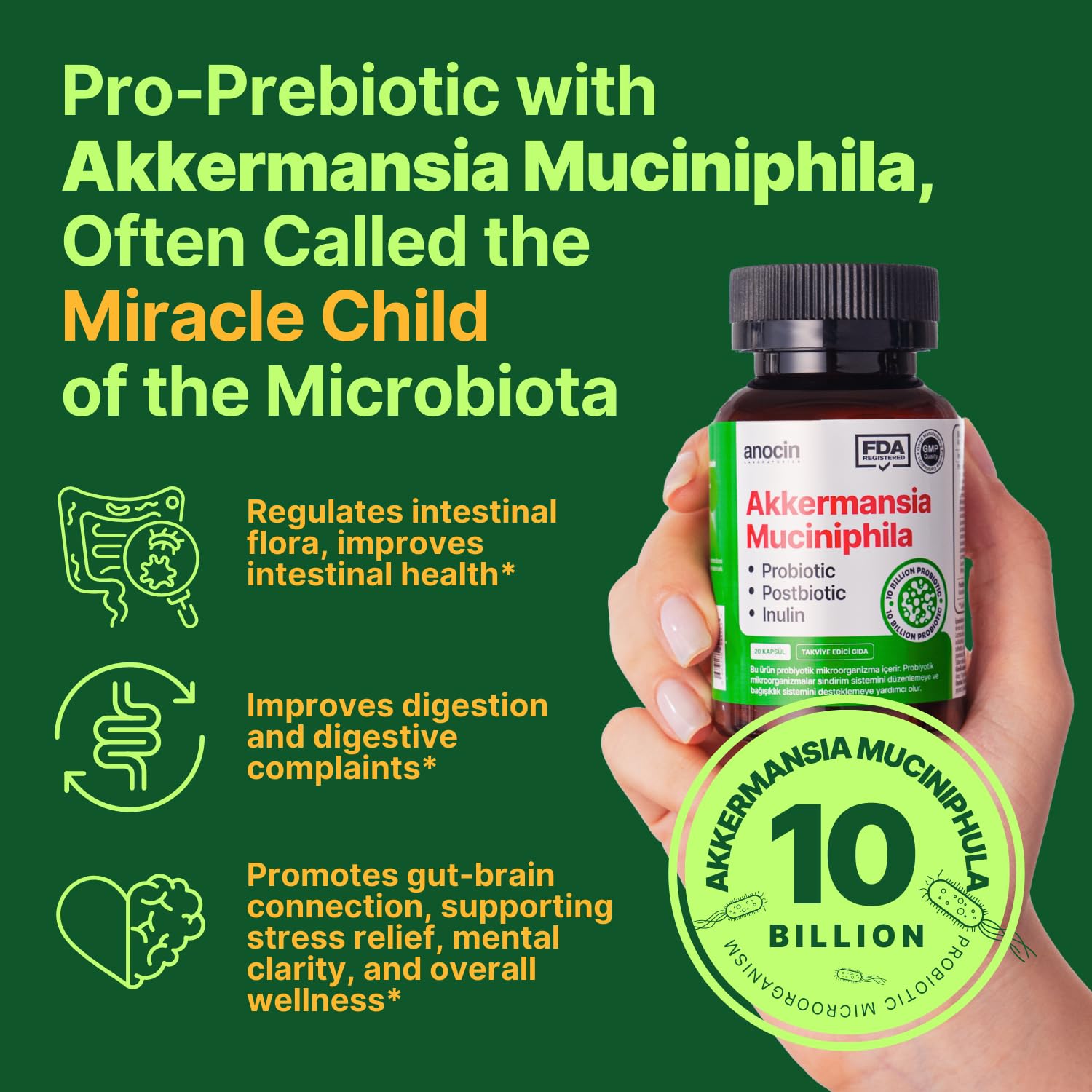 anocin Akkermansia Muciniphila + Probiotic, Postbiotic & Inulin - Gut Health Supplement for Digestion, Immune Support - 10 Billion CFU, Vegan & Gluten-Free anocinAu supplements