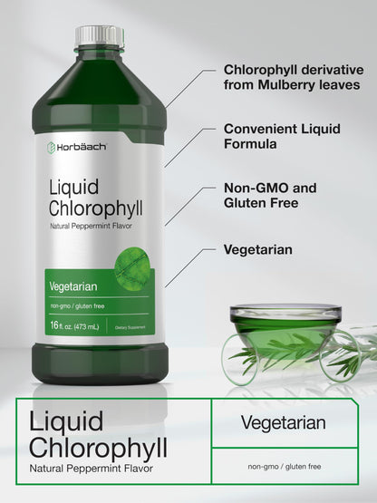 Chlorophyll Liquid Drops 100mg | 32 oz (2 x 16 oz Bottles) | Natural Peppermint Flavor HorbäachUS supplements