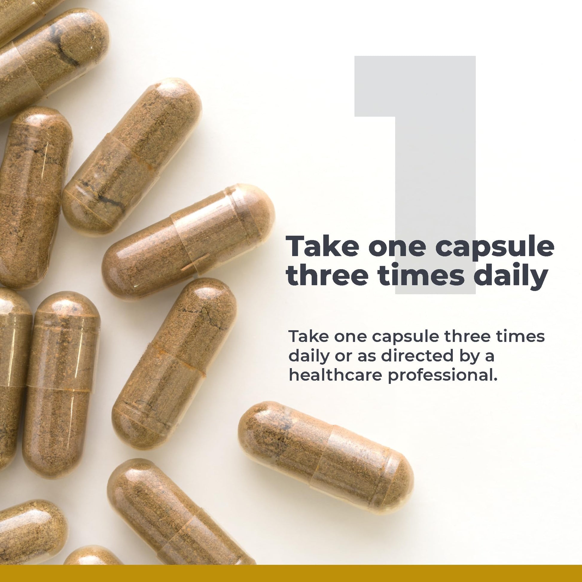 Premier Research Labs RenaVen - Premier Kidney Support for Kidney Cleanse Detox and Repair | Improve Kidney Function and Urinary Support with Fermented Cordyceps - 60 Plant-Source Capsules Premier Research LabsAu supplements