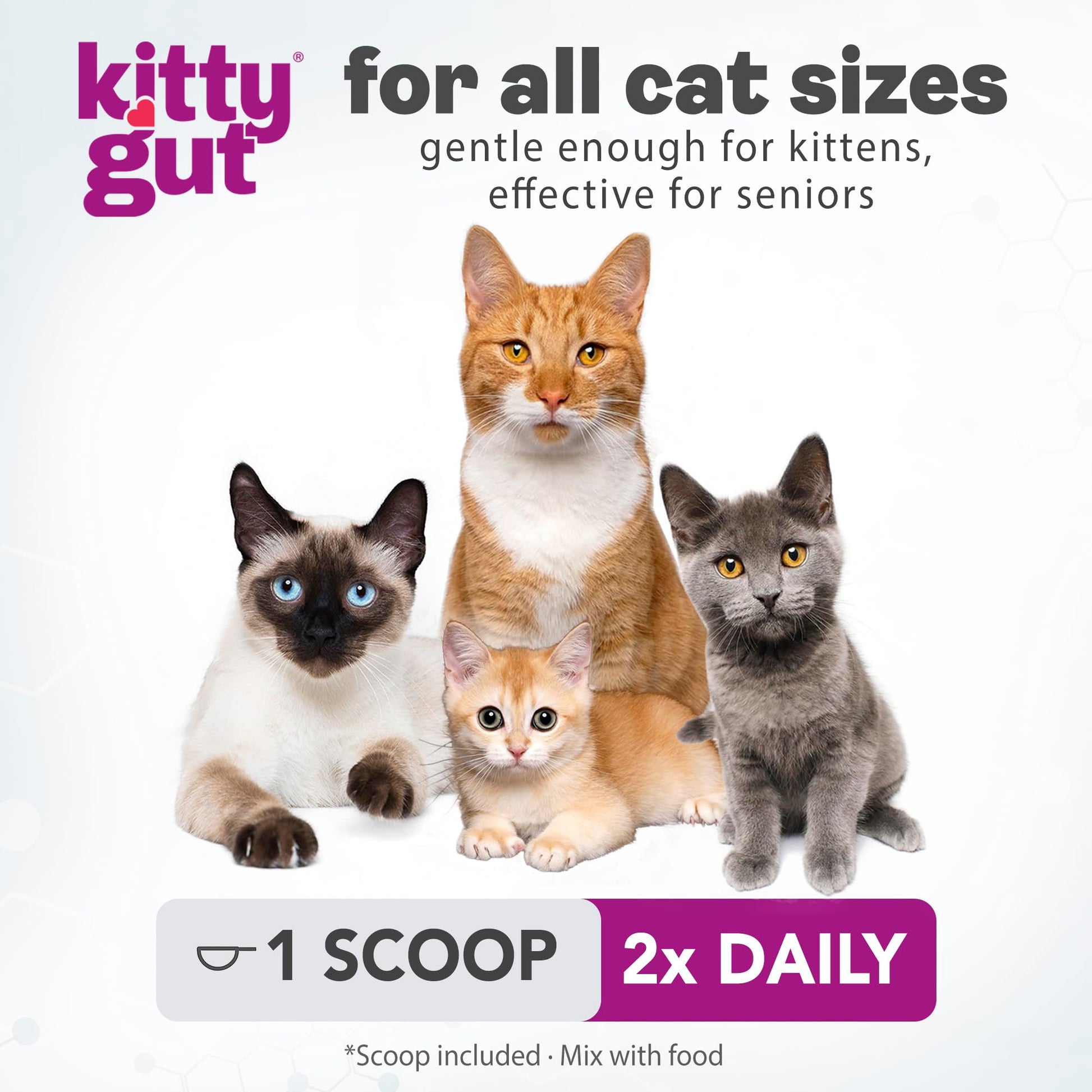 KittyGut 3-in-1 Organic Cat Probiotics & Postbiotic Supplement Powder- Made in USA-Probiotics for Cats Promote Gut Health and Cat Digestive Support, Diarrhea and Vomiting (60g) MUTTGUTAu supplements