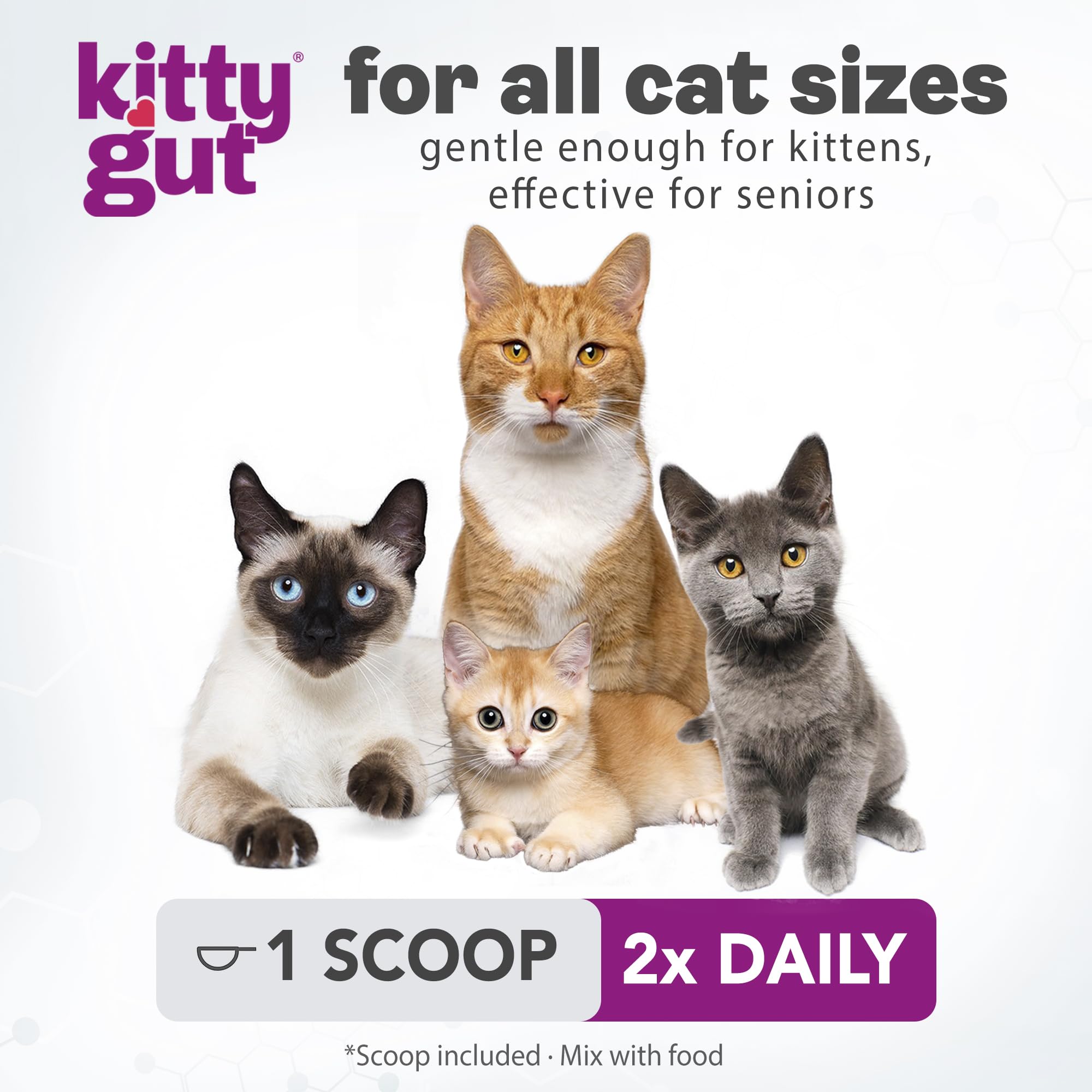KittyGut 3-in-1 Organic Cat Probiotics & Postbiotic Supplement Powder- Made in USA-Probiotics for Cats Promote Gut Health and Cat Digestive Support, Diarrhea and Vomiting (60g) MUTTGUTAu supplements