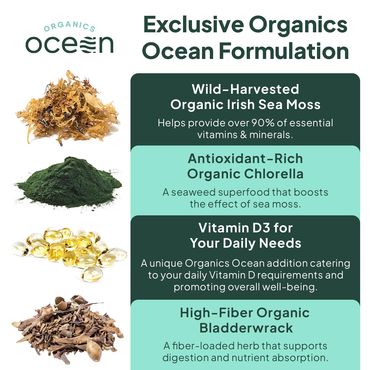 Organics Ocean Wild Sea Moss Capsules - 100% Organic Irish Sea Moss with Organic Chlorella, Bladderwrack and Vitamin D for Energy, Lung Health and Thyroid Support for Women and Men - 60 Capsules Organics OceanAu supplements