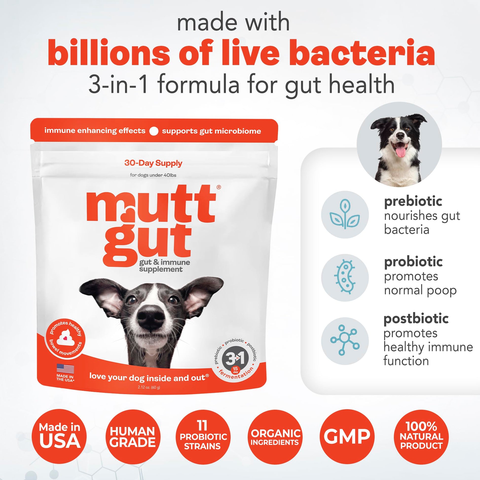 All-Natural 3-in-1 Dog Probiotic, Prebiotic, and Postbiotic Supplement Powder - Probiotics for Dogs with 135 Billion CFUs, Anti Diarrhea, Digestive Enzymes & Antioxidants (60g) MUTTGUTAu supplements