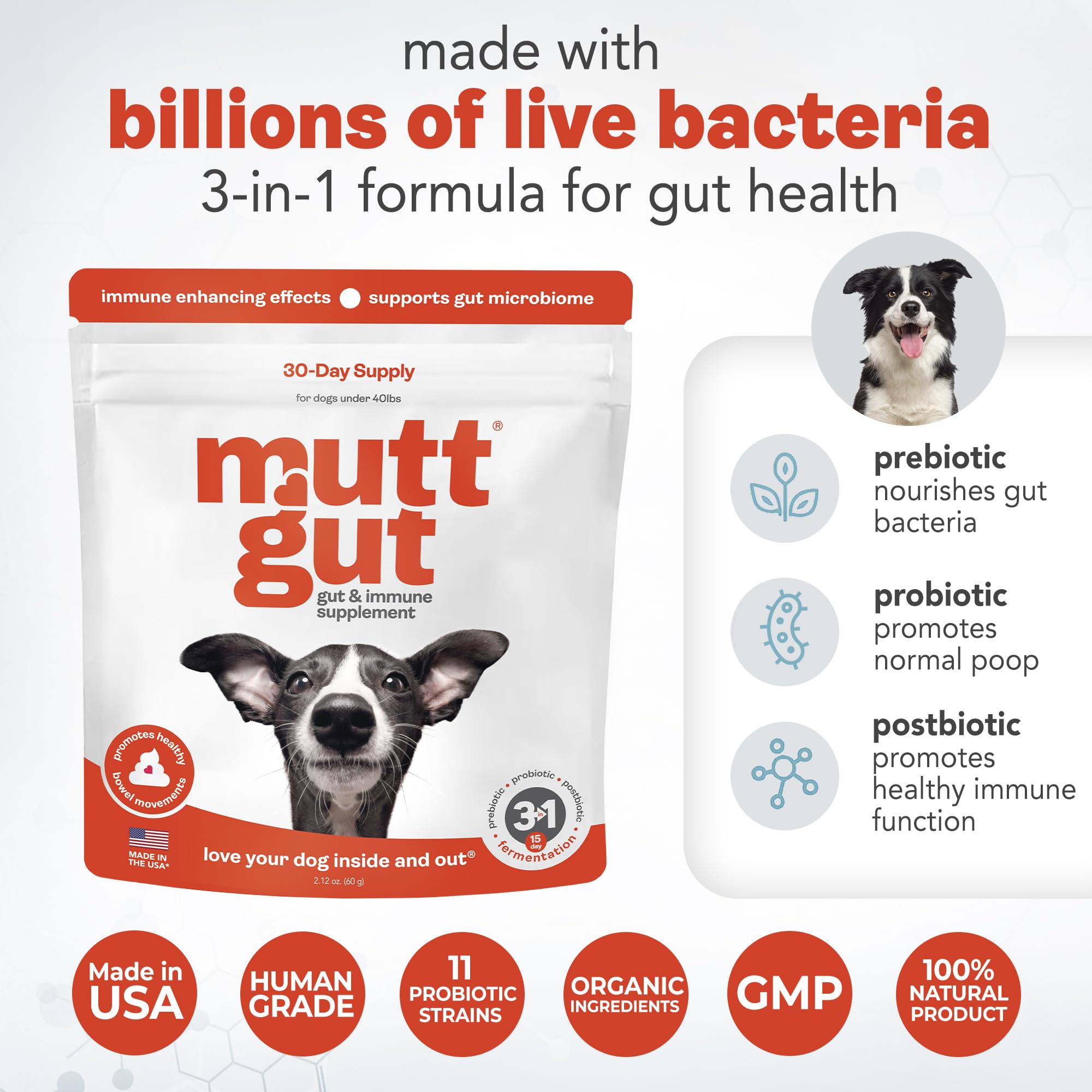 All-Natural 3-in-1 Dog Probiotic, Prebiotic, and Postbiotic Supplement Powder - Probiotics for Dogs with 135 Billion CFUs, Anti Diarrhea, Digestive Enzymes & Antioxidants (60g) MUTTGUTAu supplements