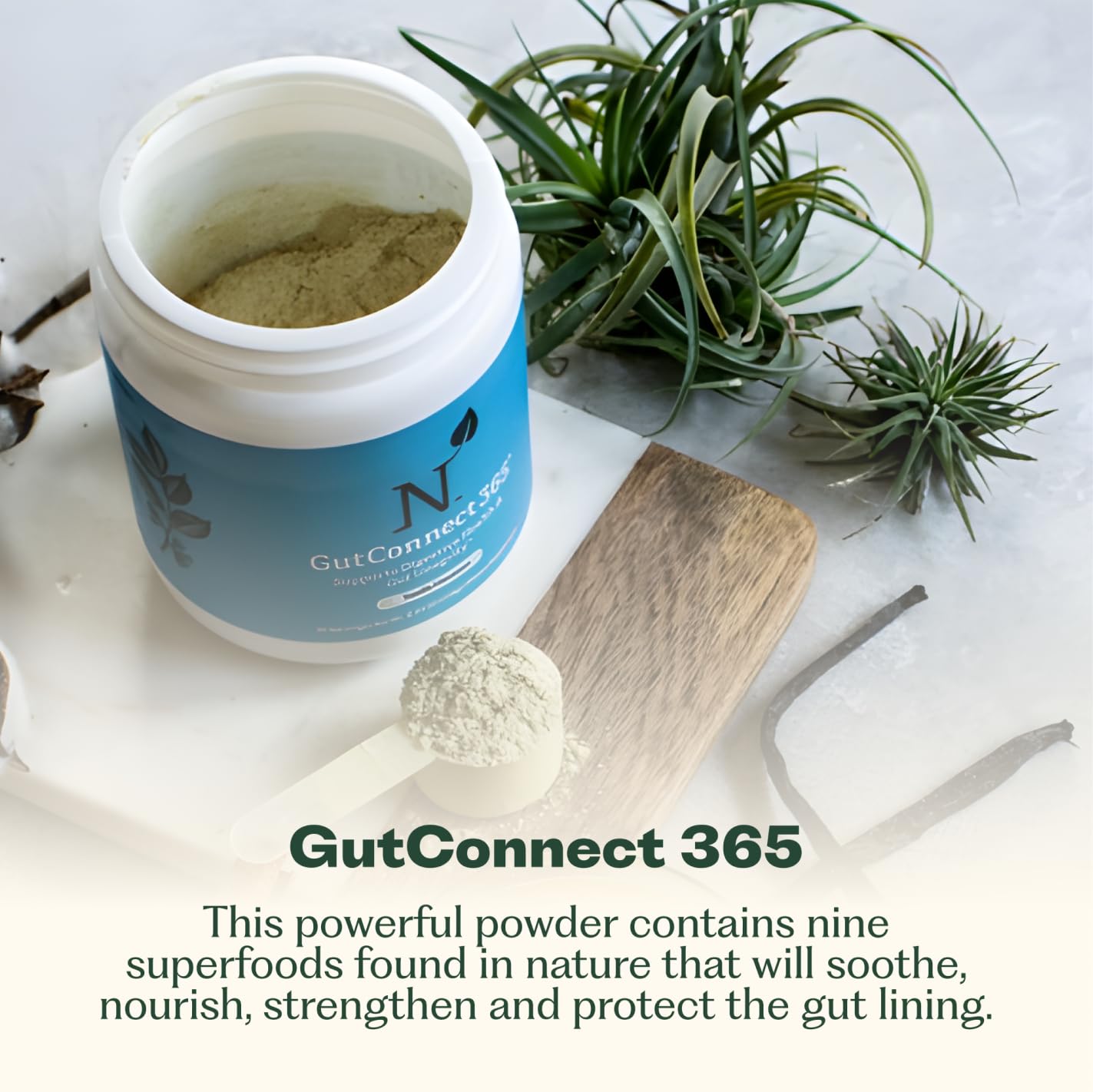 GutConnect 365 Gut Health Superfood Powder | Formulated With Slippery Elm Bark & L Glutamine | Vegan Certified | Allergen Free | Non-GMO | Soy Free | Made in the USA | 30 Servings – Vanilla Cinnamon Nature M.D.Au supplements