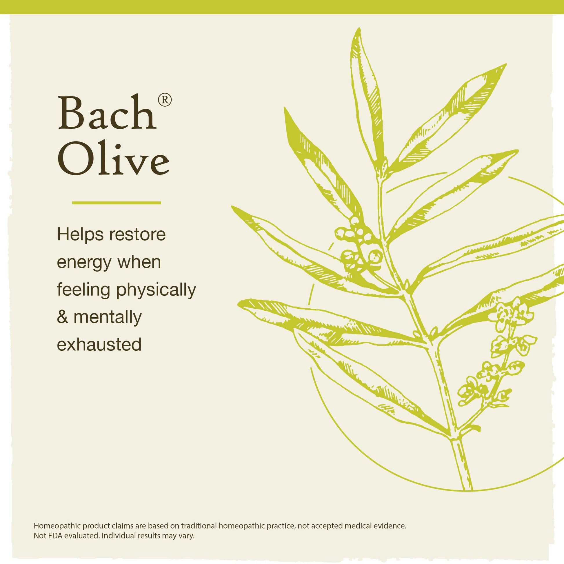 Bach Original Flower Remedies, Olive for Energy (Non-Alcohol Formula), Natural Homeopathic Flower BachAu supplements