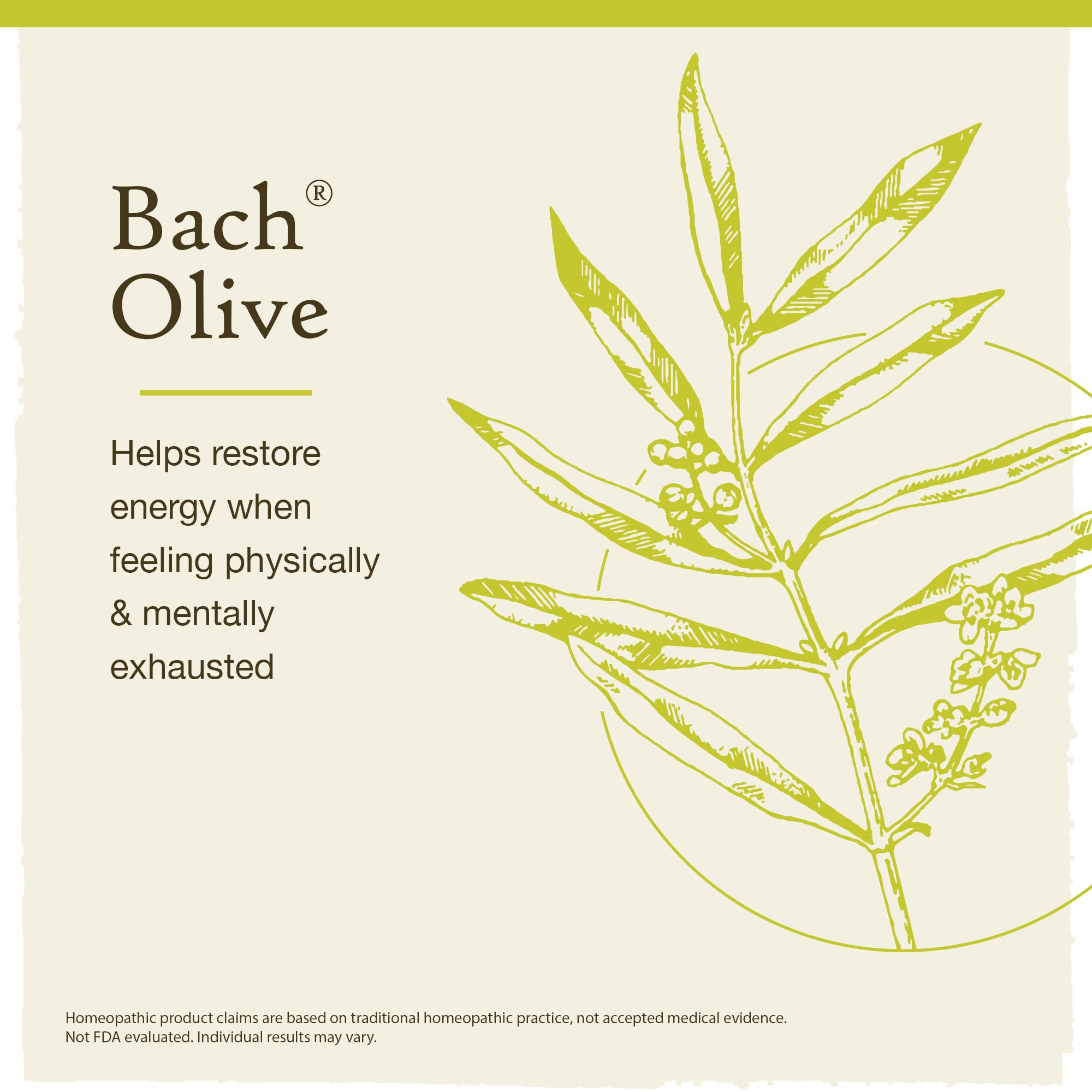 Bach Original Flower Remedies, Olive for Energy (Non-Alcohol Formula), Natural Homeopathic Flower BachAu supplements