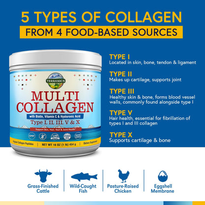 Terranics Multi Collagen Powder Type I II II V X with Biotin VC Hyaluronic Acid, Paleo TerranicsUS supplements