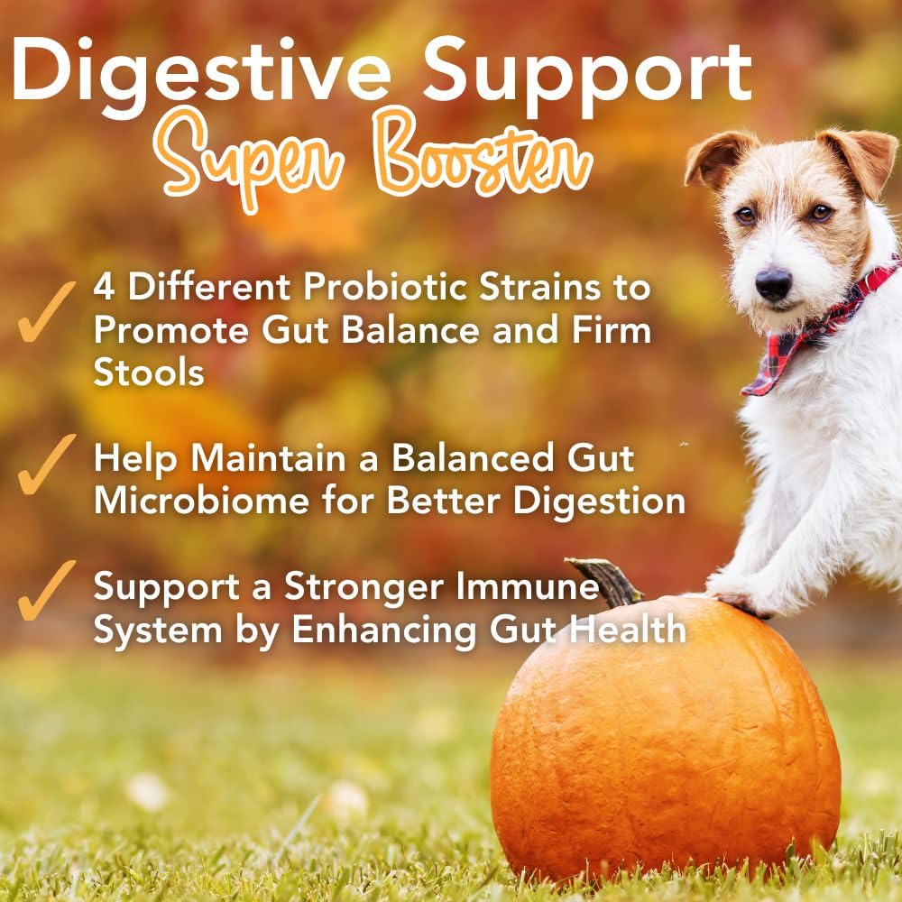 iHeartDogs Pupkin Probiotics, Prebiotics, Postbiotics, & Fiber for Dogs with Pumpkin, Gut Soothing Bone Broth & Mushrooms iHeartDogsAu supplements