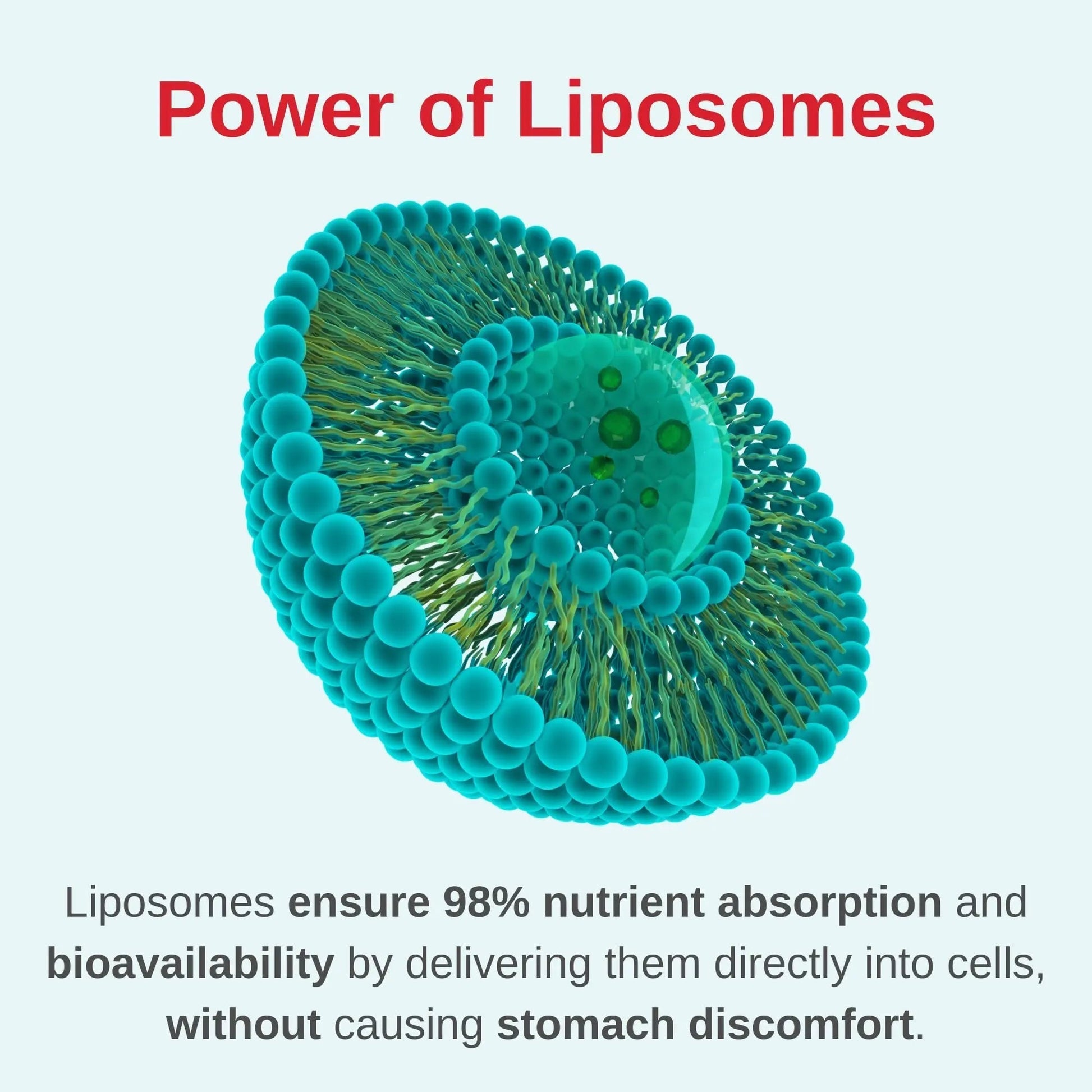 Vitaminally Liposomal Women's Liquid multivitamin Iron Free Drops| Sugar Free | Non-GMO | Gluten Free | Supports Immune System, Bone Health and Energy Metabolism VitaminallyAu supplements