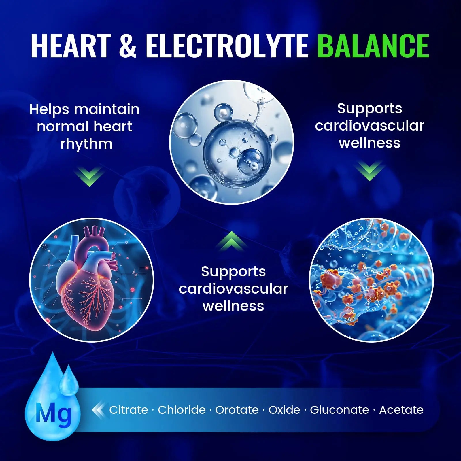 Magnesium Complex with 15 Types Magnesium Glycinate Citrate Malate Taurate Oxide Carbonate Chloride Orotate Magnesio Muscle, Heart, Relaxation & Nerves 120 Vegan Capsules, 60-Day Supply Ashenutrinz supplements