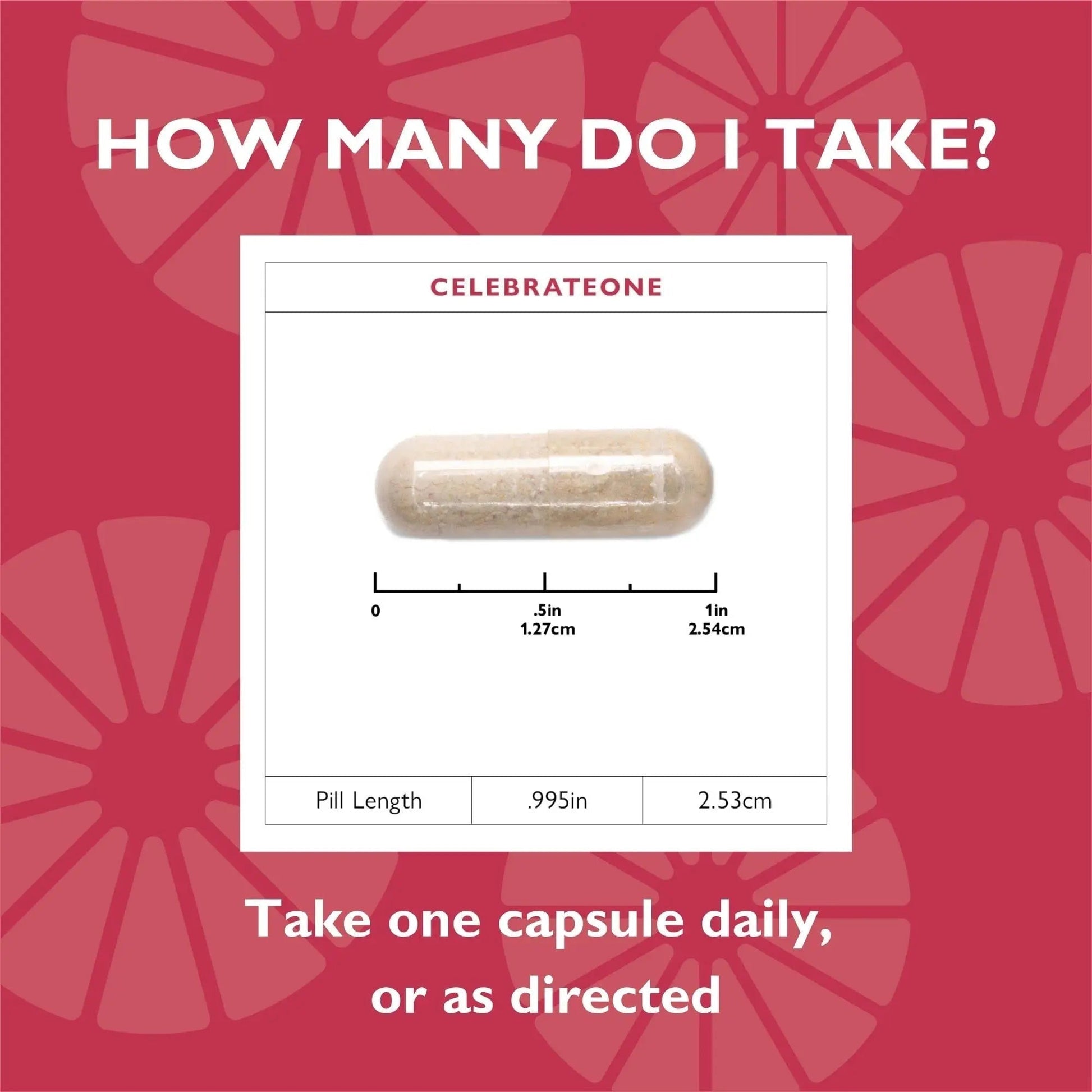 Celebrate Vitamins CelebrateONE, Iron Free - Once Daily Bariatric Multivitamin, Essential Vitamins & Minerals Celebrate Bariatric SupplementsAu supplements
