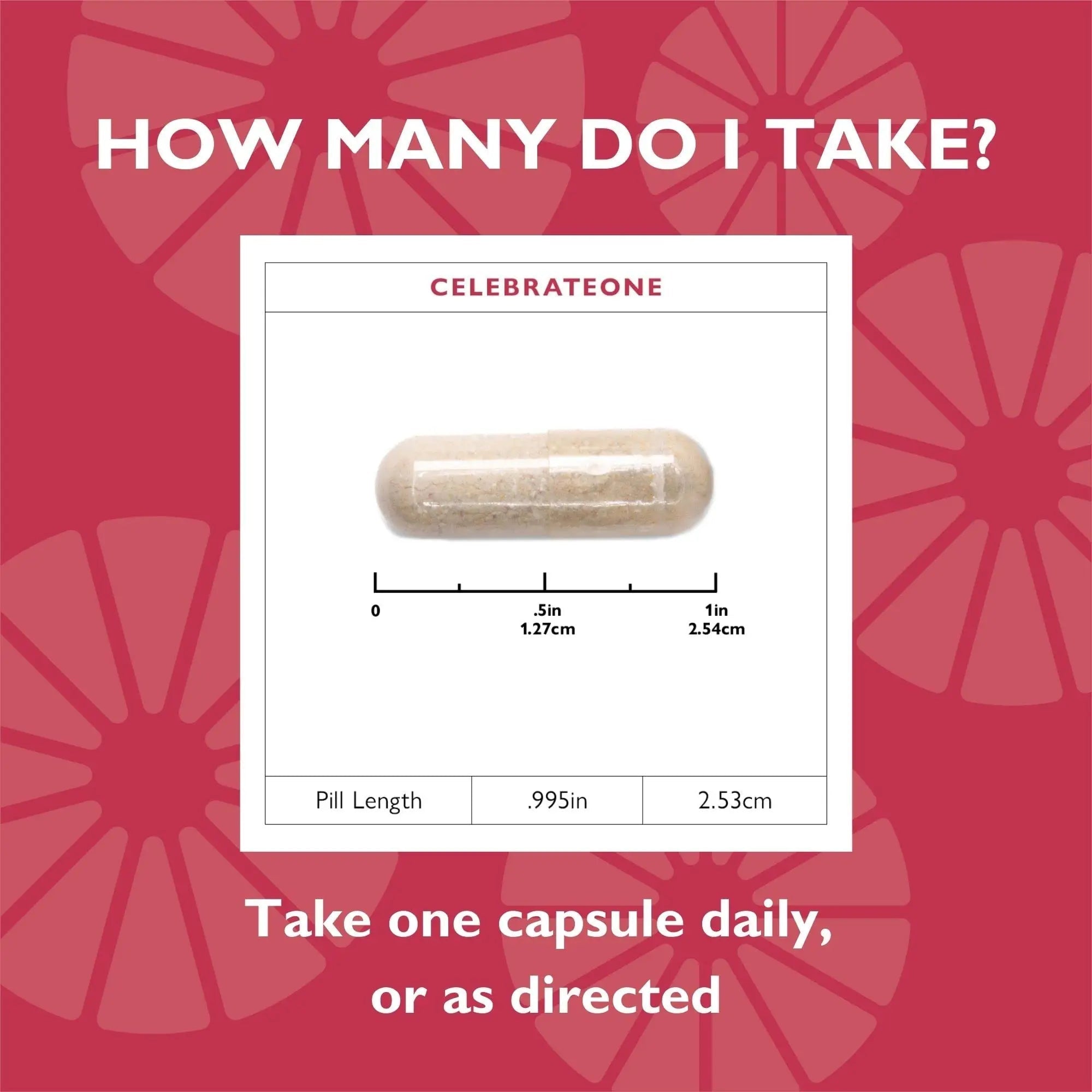 Celebrate Vitamins CelebrateONE, Iron Free - Once Daily Bariatric Multivitamin, Essential Vitamins & Minerals Celebrate Bariatric SupplementsAu supplements