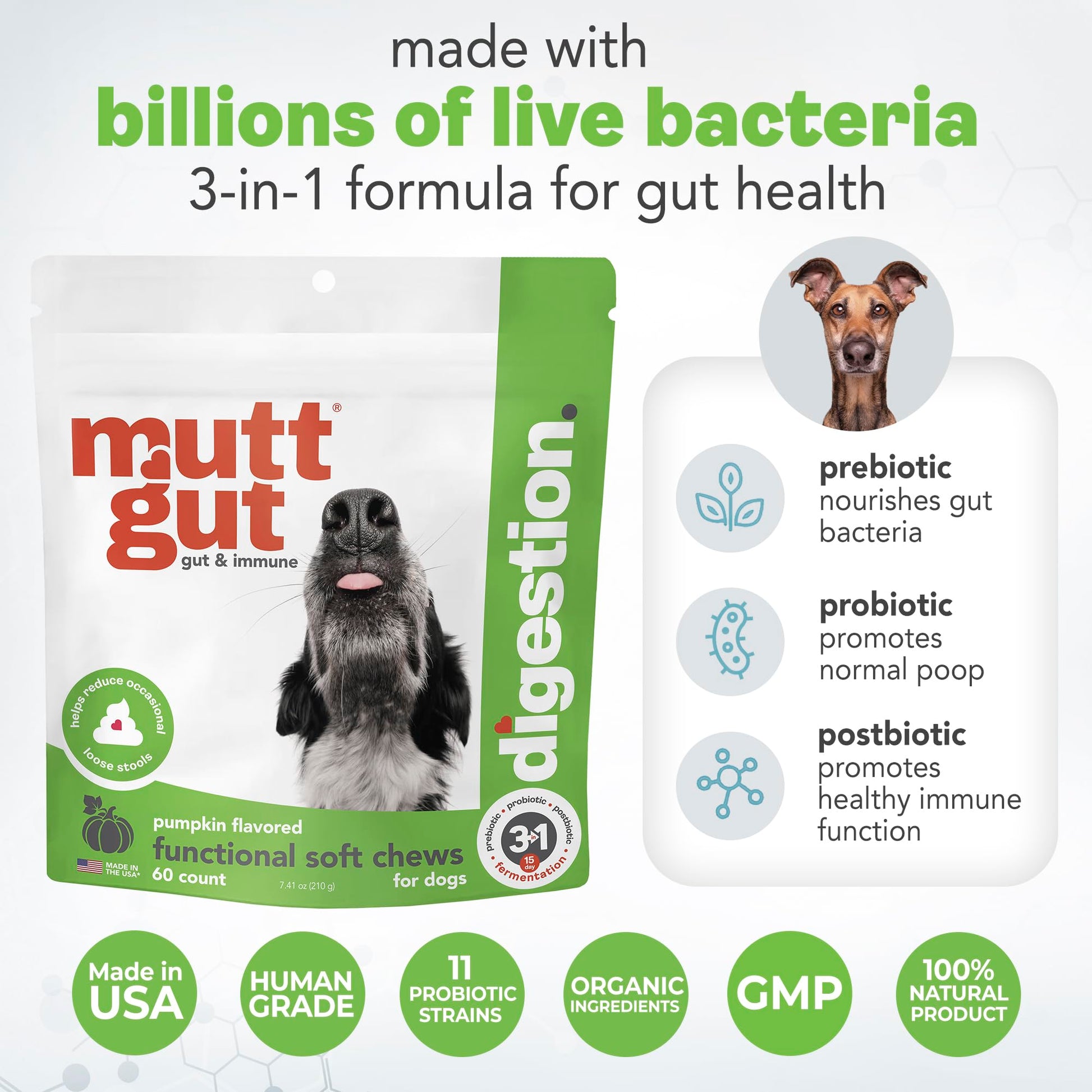 MuttGut® 3-in-1 Puppy & Dog Probiotics + Prebiotics + Postbiotics Chews - Promotes Digestive Health, Supports Immune System and Overall Health - Dog Diarrhea Relief & Immune Support - 60 Soft Chews MUTTGUTAu supplements