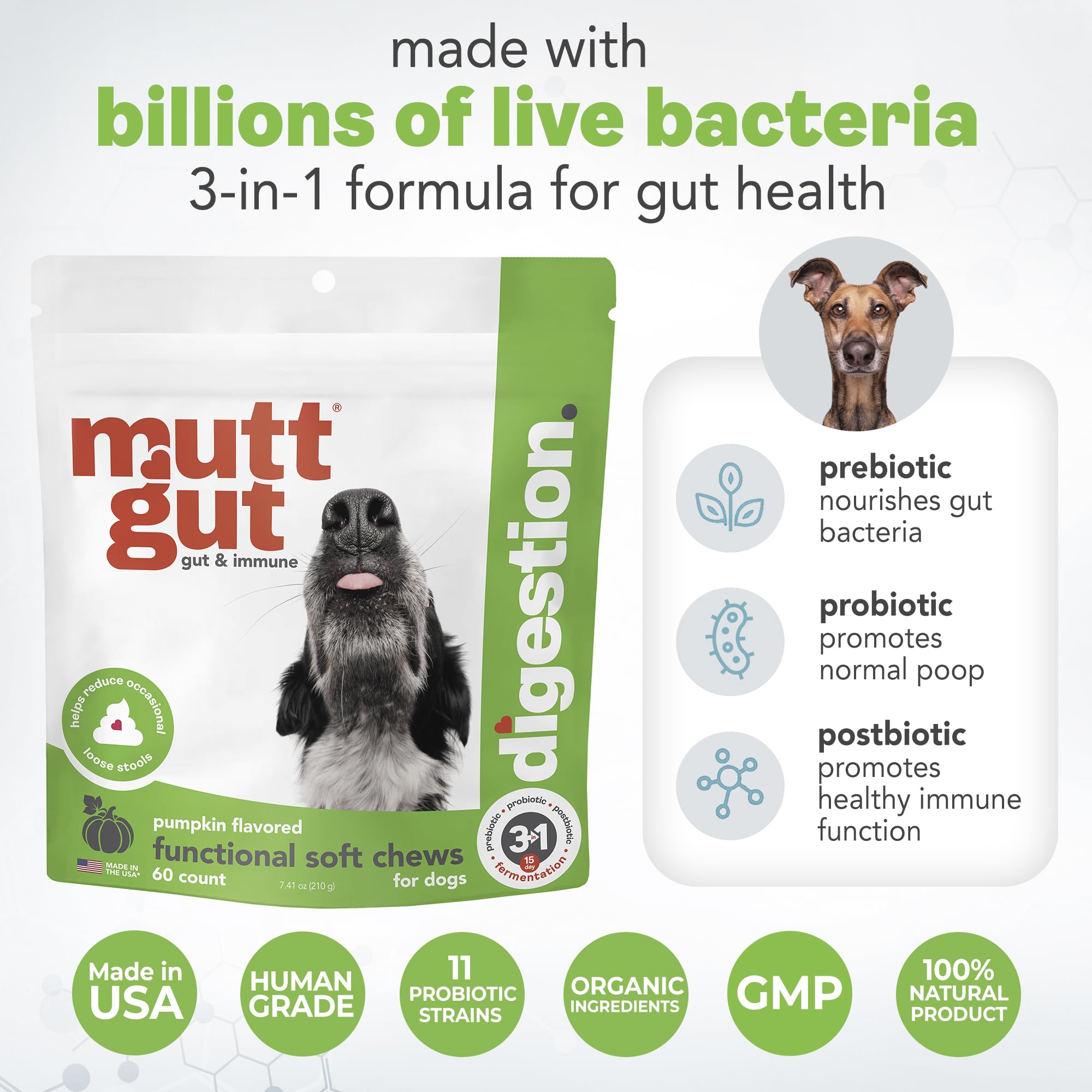 MuttGut® 3-in-1 Puppy & Dog Probiotics + Prebiotics + Postbiotics Chews - Promotes Digestive Health, Supports Immune System and Overall Health - Dog Diarrhea Relief & Immune Support - 60 Soft Chews MUTTGUTAu supplements