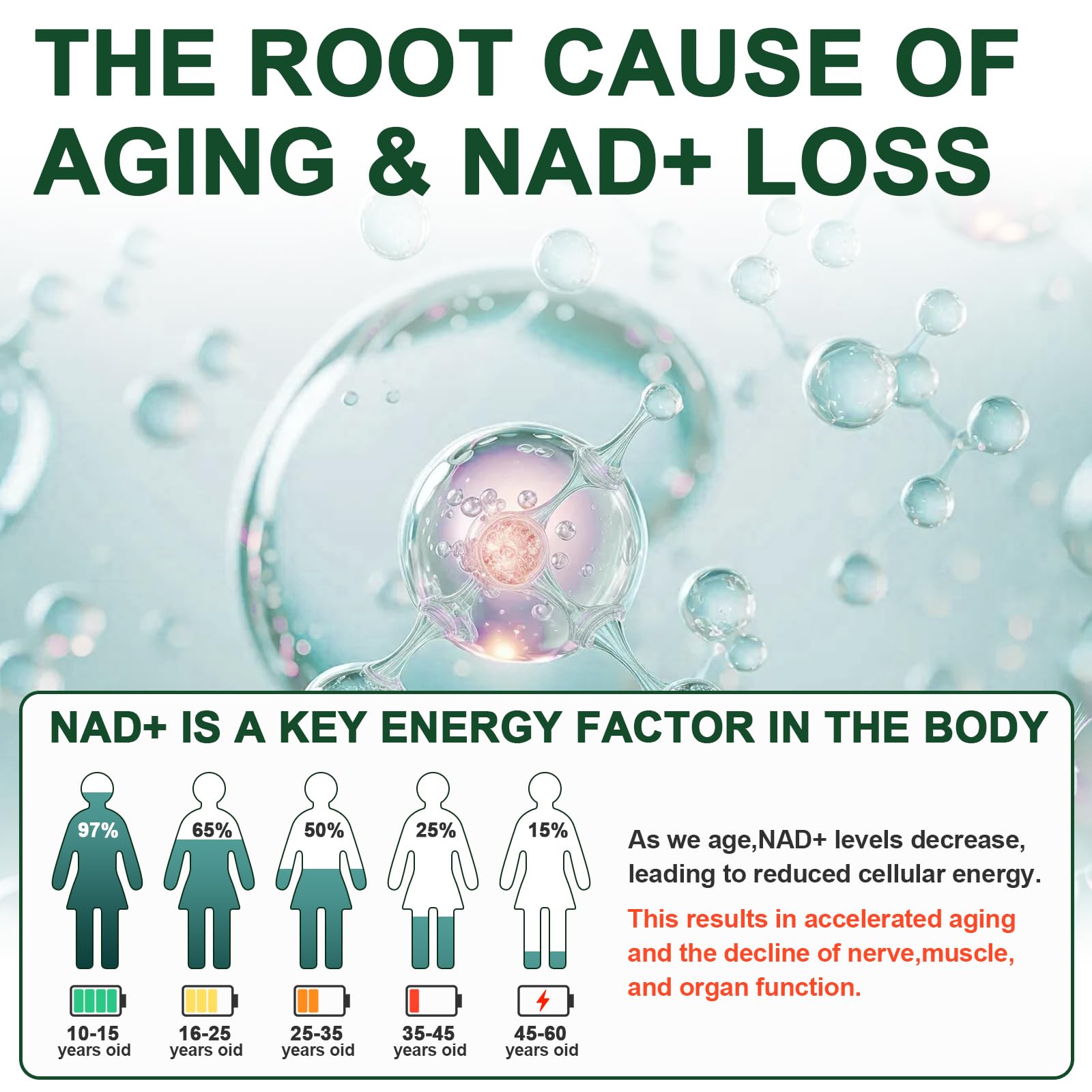 Vikaywoo NAD Supplement 1585 Mg -True NAD & Resveratrol, NMN Alternative Liposomal NAD+ for Women & Men, Support Cellular Health, Stamina & Healthy Aging - 120 Capsules VikaywooAu supplements