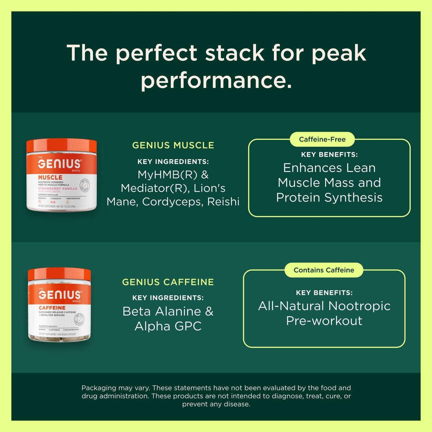 The Genius Brand Protein Powder - Chocolate + Adaptogenic Mushroom Blend - Plant-Based Protein with Reishi, Cordyceps & Lion’s Mane - Daily Muscle Recovery & Immune Support - 20 Servings The Genius BrandUS supplements