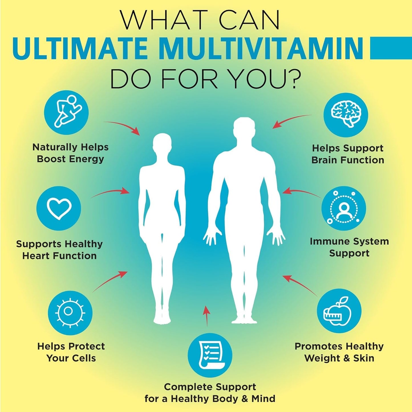 OmniBiotics Ultimate Daily Multivitamin for Women & Men – 34 Essential Ingredients Including Vitamin A, C, D, E, B6, B12, Biotin, Zinc – 120 Vegan Capsules OmniBioticsUS supplements