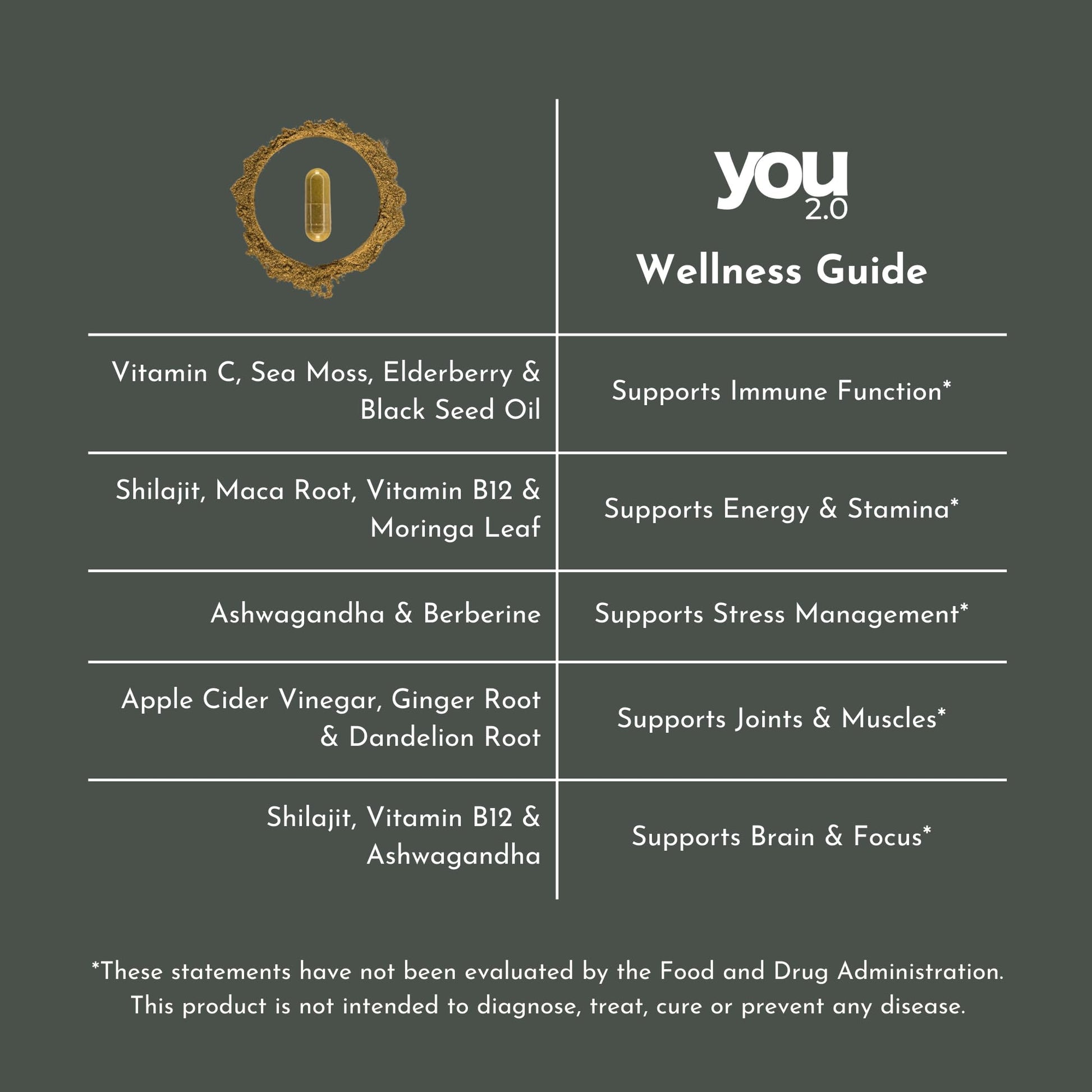 YOU 2.0 Powerhouse Superfood with Seamoss, Shilajit, Ashwagandha, Berberine, Maca, Black Seed Oil, Turmeric, Vitamin C, D, B12, K2 - Moringa, Apple Cider, Made in USA for Overall Health & Immunity YOU 2.0Au supplements
