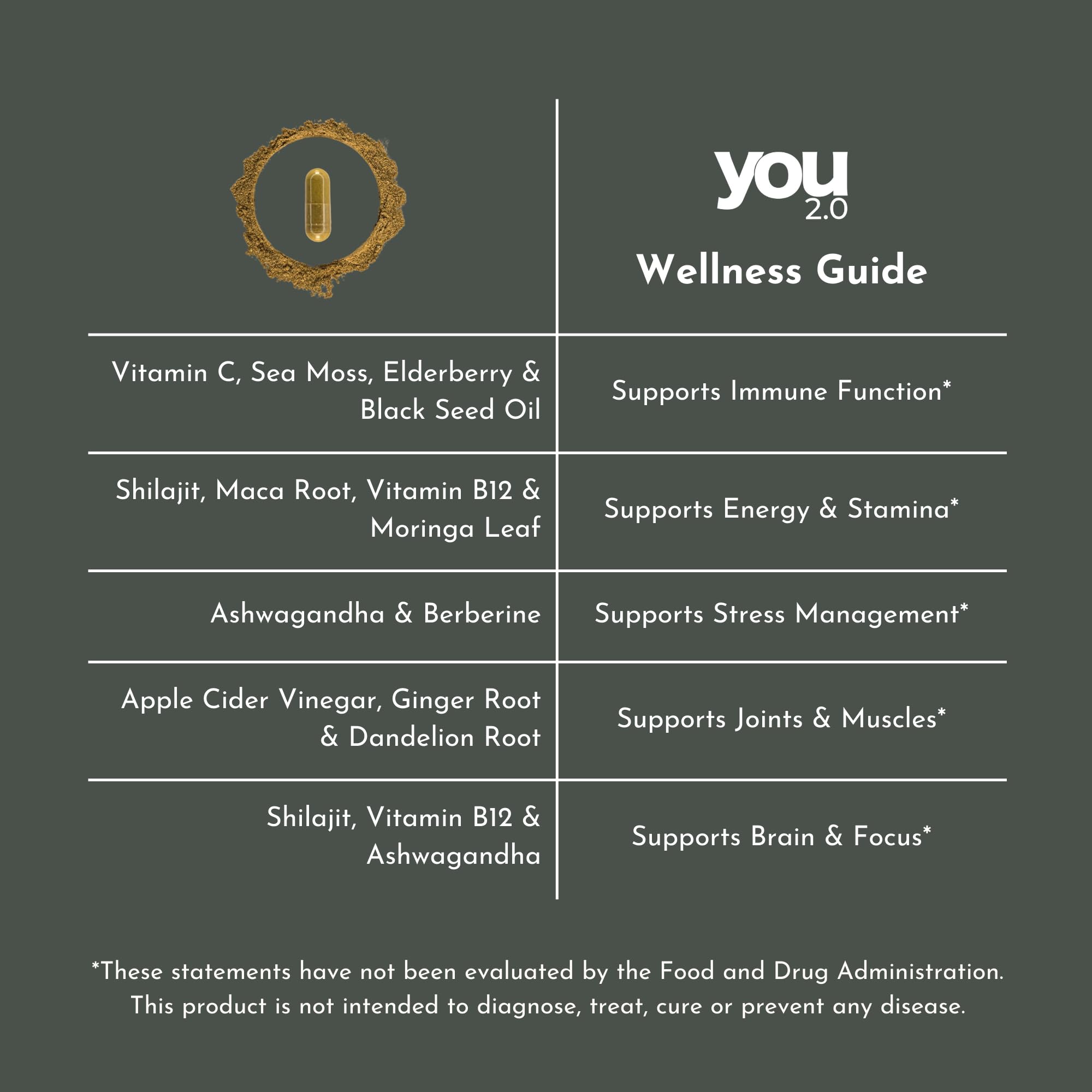 YOU 2.0 Powerhouse Superfood with Seamoss, Shilajit, Ashwagandha, Berberine, Maca, Black Seed Oil, Turmeric, Vitamin C, D, B12, K2 - Moringa, Apple Cider, Made in USA for Overall Health & Immunity YOU 2.0Au supplements