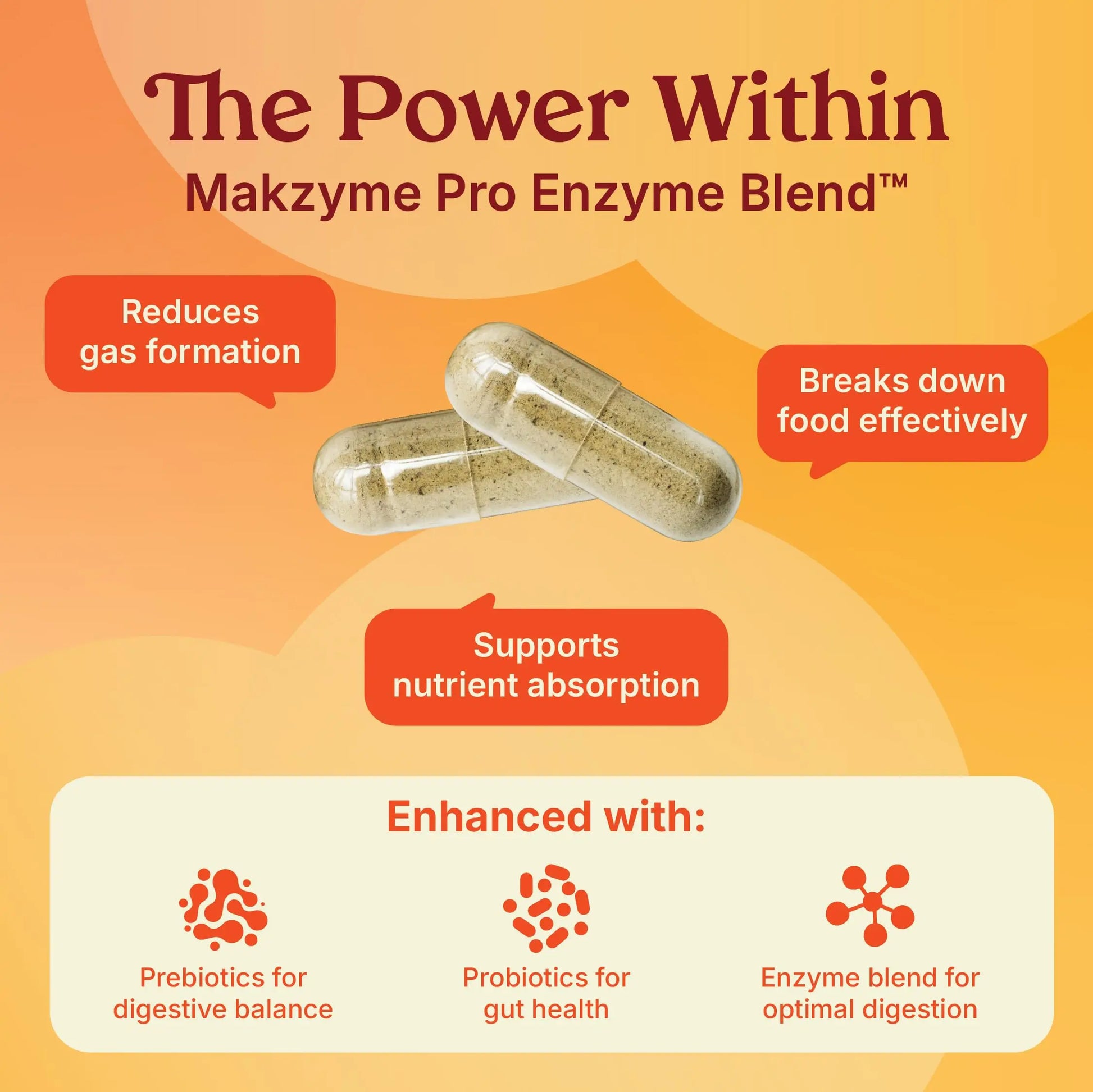 Poop Like a Champion Bloating Relief Digestive Enzymes, Probiotic Powered Capsules to Support Digestive Health and Gas Relief, 60 Capsules Poop Like a ChampionAu supplements