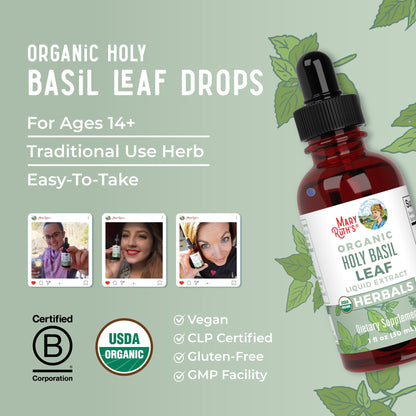 MaryRuth Organics Holy Basil Sugar Free | Tulsi Holy Basil Herbal Liquid Drops | Antioxidant | Cognitive Function | Digestive Support | Energy Levels | Vegan | Non-GMO | 1 Fl Oz MARYRUTH'SUS supplements