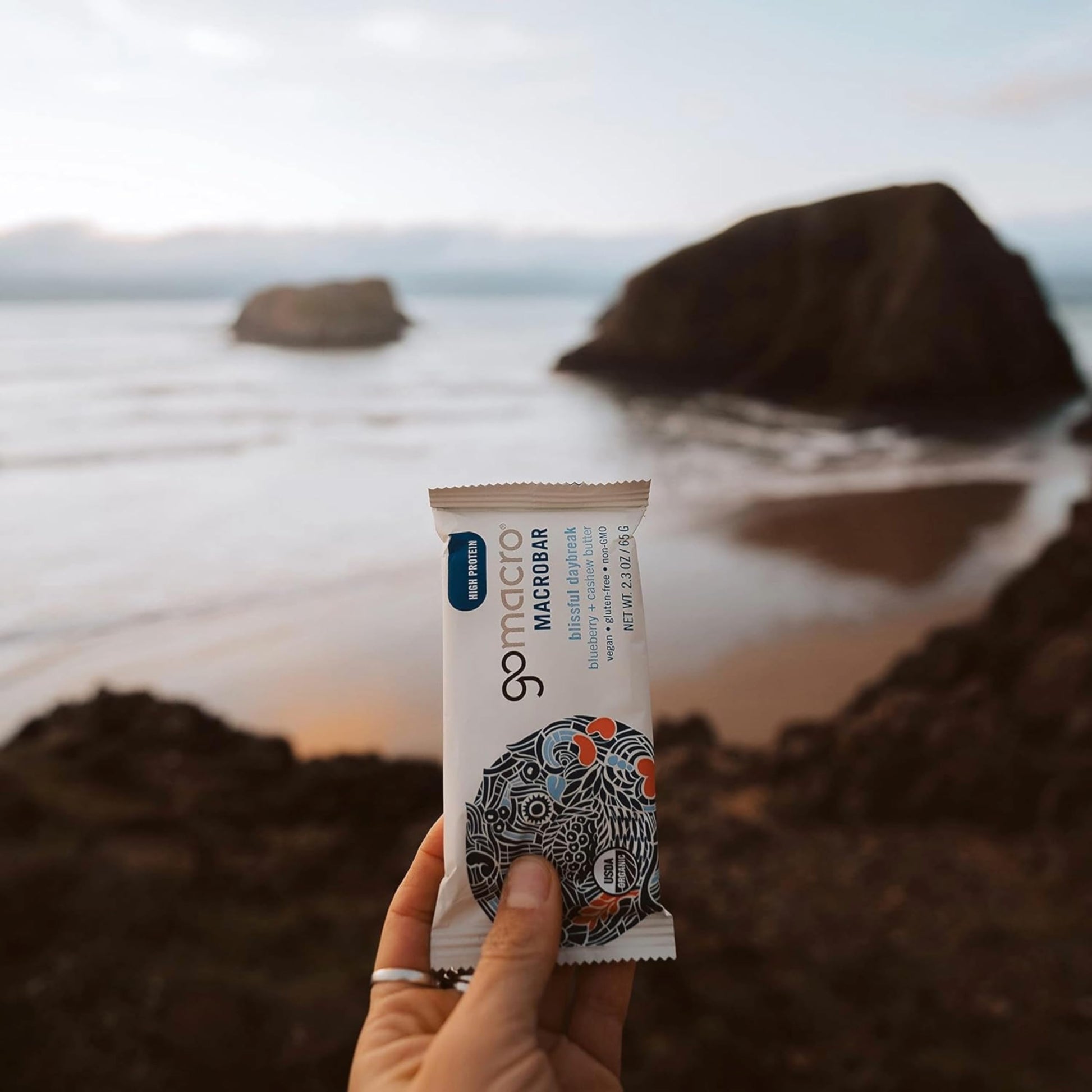 GoMacro Macrobar Organic Vegan Protein Bars - Blueberry + Cashew Butter , 2.3 Ounce GoMacroAu supplements