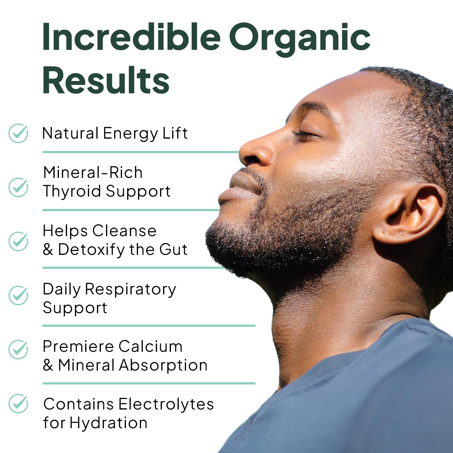 Organics Ocean Wild Sea Moss Capsules - 100% Organic Irish Sea Moss with Organic Chlorella, Bladderwrack and Vitamin D for Energy, Lung Health and Thyroid Support for Women and Men - 60 Capsules Organics OceanAu supplements