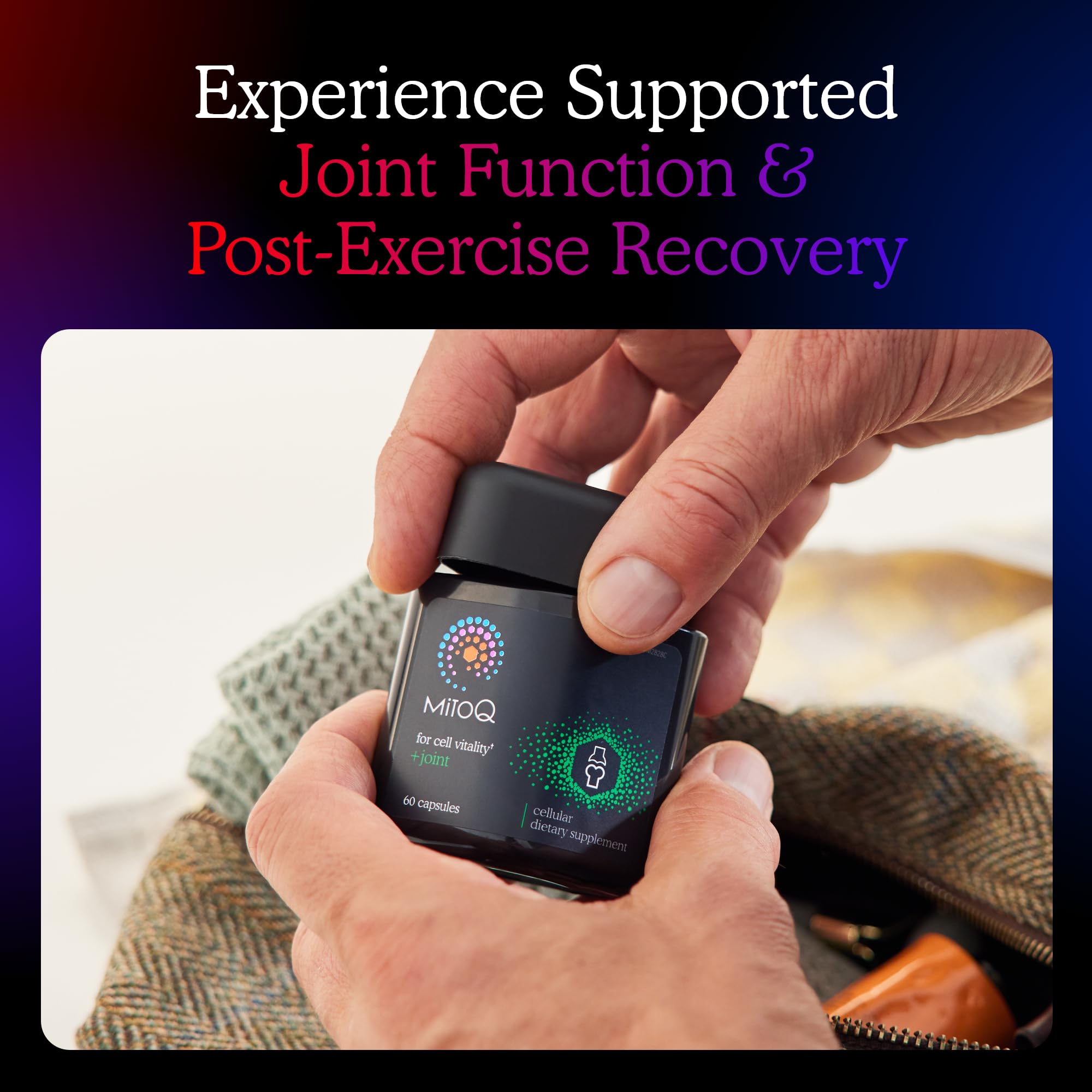 MitoQ +Joint Advanced CoQ10 Antioxidant Supplement - Contains Mitoquinol Mesylate & Green Lipped Mussel Omega Oil Extract - Supports Healthy Joint, Mobility and Cell Vitality (60 Softgel Capsules) MitoQAu supplements