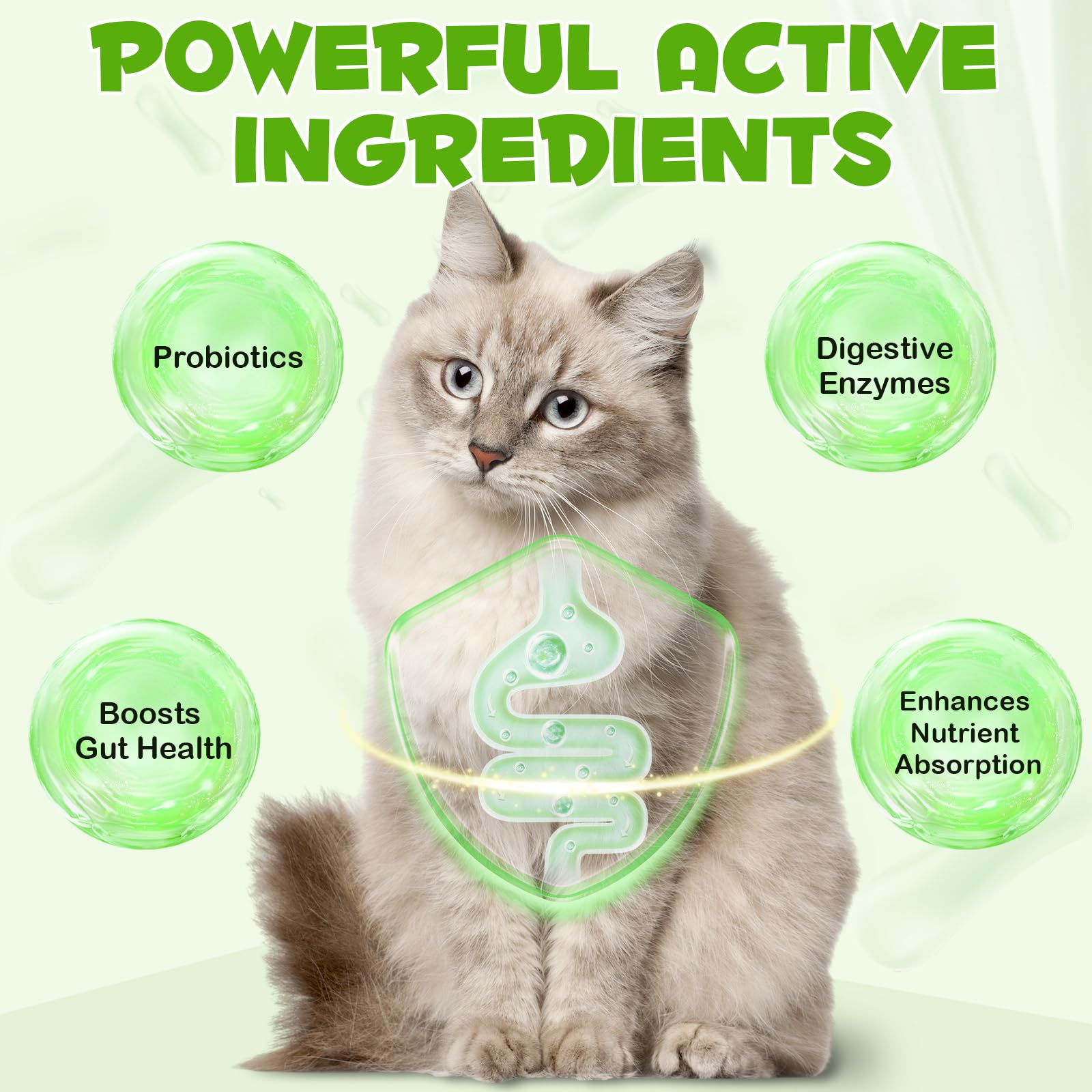Liquid Cat Probiotic, Natural 3 in 1 Probiotic for Cats, Cat Digestive Support,Gut Health Support,Help with Diarrhea,Gas and Bloating, Cat Herbal Supplements- 60ml VOSIFSDIYAu supplements