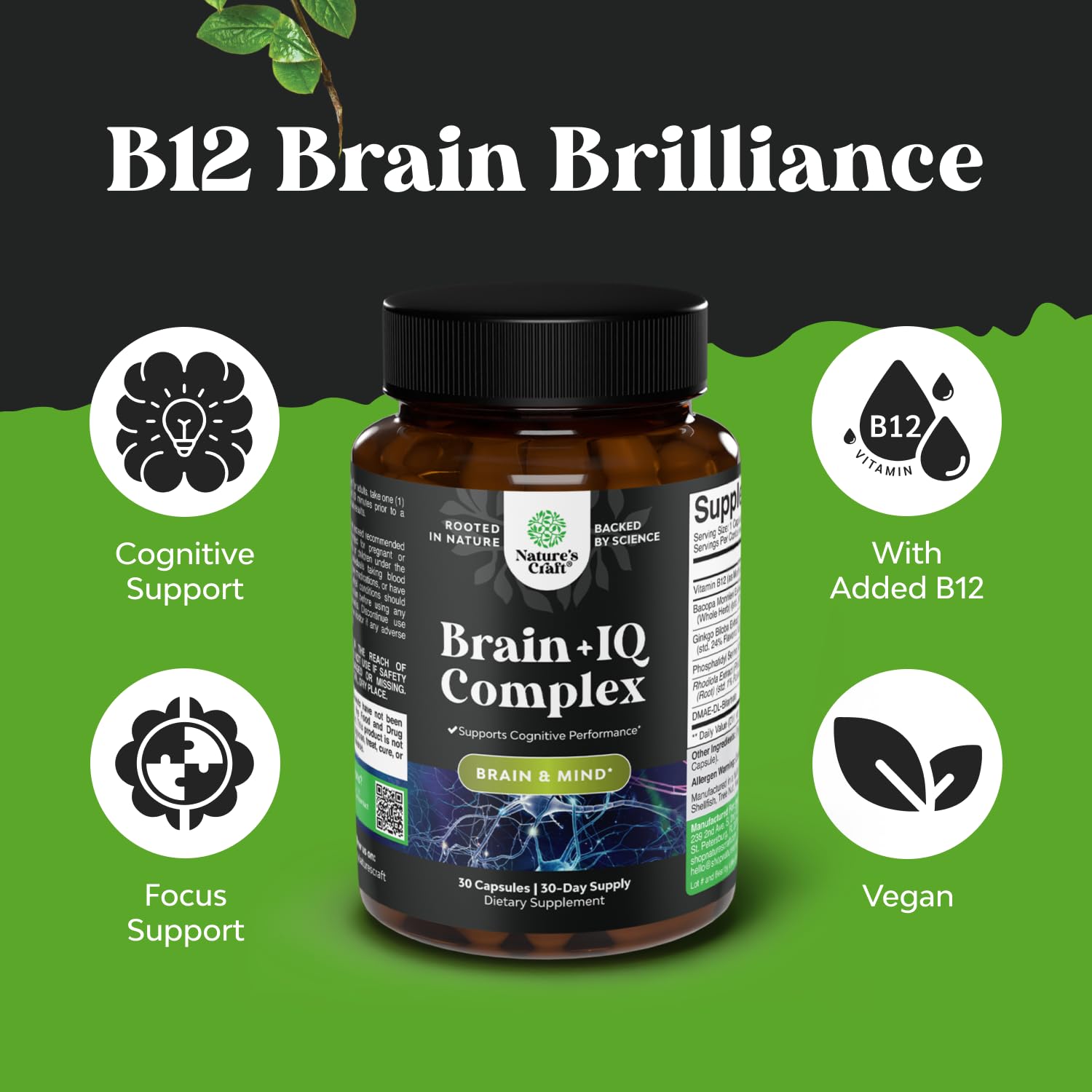 Nootropic Memory Supplement for Brain Support - Memory Pills for Brain Boost and Natural Energy Booster - Vitamin B 12 Bacopa Monnieri Rhodiola Rosea DMAE Ginkgo Biloba Phosphatidylserine Supplement Natures CraftAu supplements