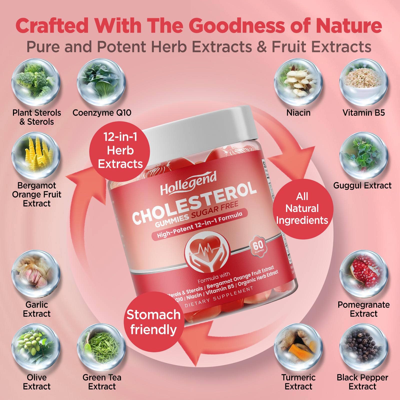HOLLEGEND Cholesterol Supplements Gummies Sugar Free, 1500mg Plant Sterols for Cholesterol Health, Plus Citrus Bergamot, CoQ10 & Vitamins for Heart Health, Vegan, Mixed Berry Flavor, 60 Chewables HOLLEGENDAu supplements