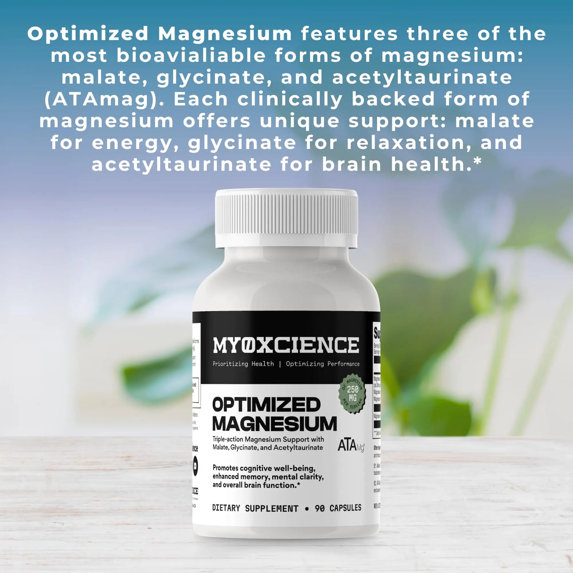 MYOXCIENCE Optimized Magnesium Glycinate + Magnesium Taurate (as ATAmag®) for High Brain Bioavailability to Support Stress Relief and Sleep | 30 Servings MYOXCIENCEnz supplements