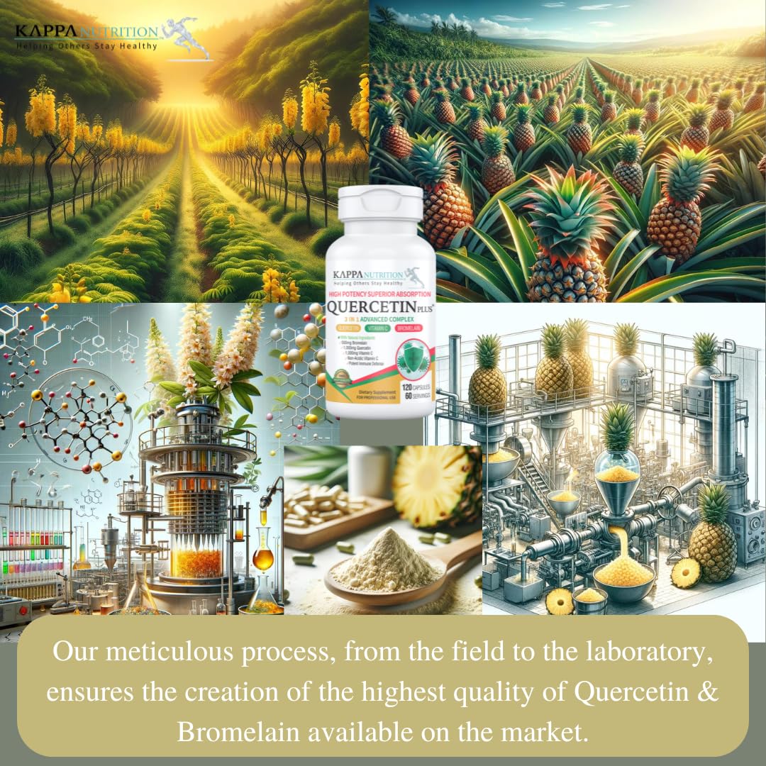 QUERCETIN PLUS, Quercetin 1,000mg, Bromelain 500mg and Vitamin C 1,000mg, (120 Capsules), 3 in 1 from Bioflavonoids, Supports Immune, Cardiovascular & Respiratory Health, Seasonal Allergy Relief. KAPPA NUTRITIONAu supplements