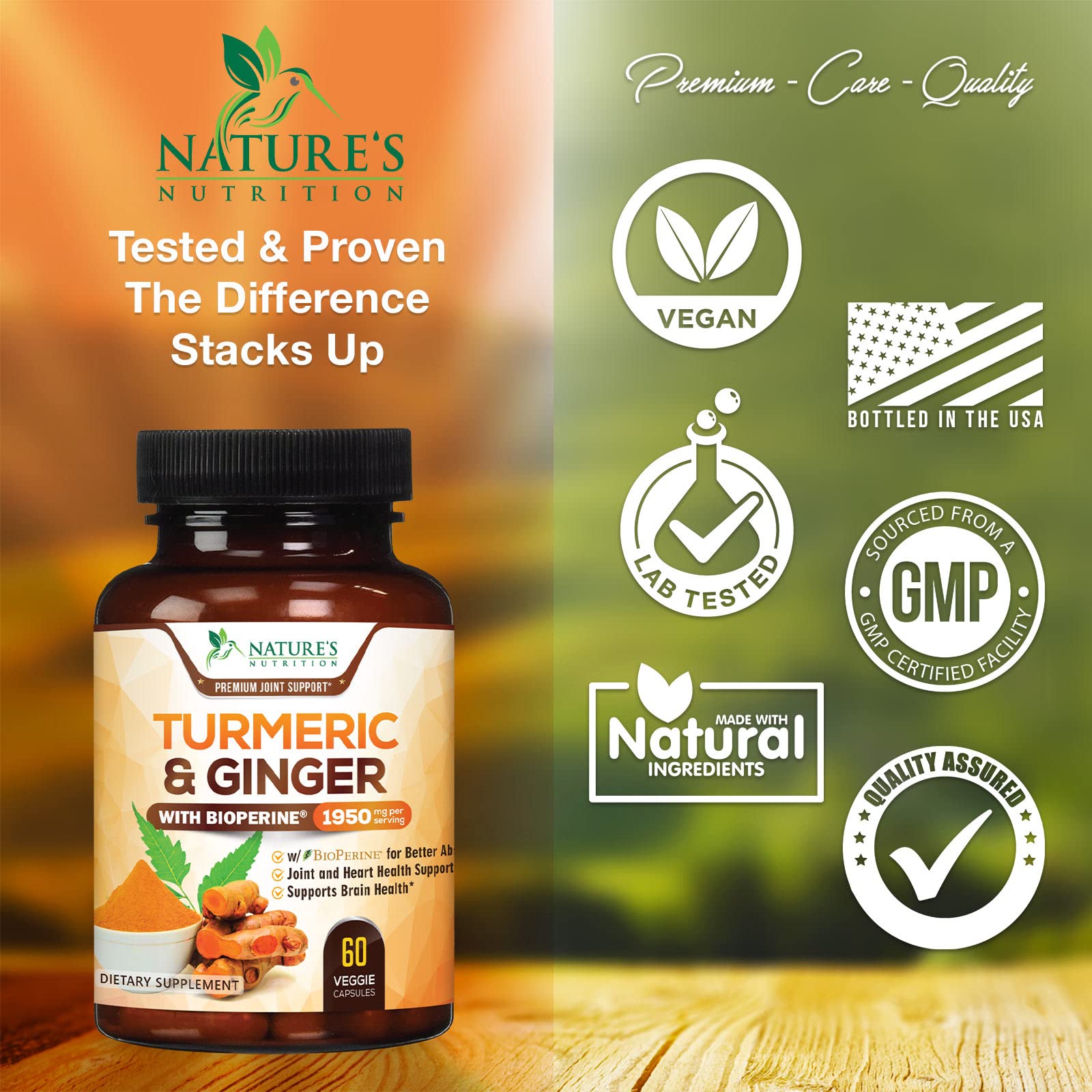 Turmeric Curcumin with BioPerine & Ginger 95% Standardized Curcuminoids Nature's NutritionUS supplements