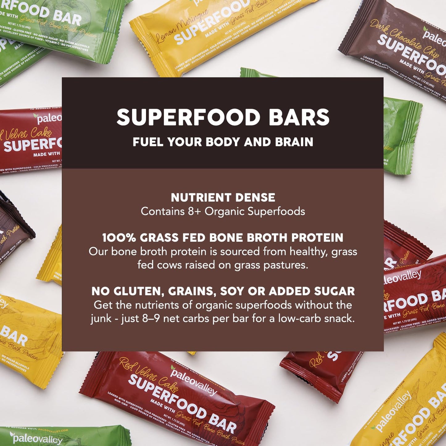 Paleovalley Superfood Bars – Dark Chocolate Chip– 10 Pack – 9g Protein per Bar – Gluten-Free, Grain-Free, Paleo, Non-GMO – On-the-Go Snack PaleovalleyUS supplements