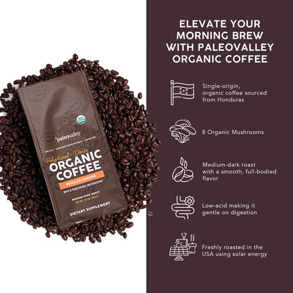 Paleovalley Organic Ground Coffee, 10oz - Regular, Low Acid, Single-Origin, Polyphenol-Rich, Infused with Mushrooms PaleovalleyUS supplements