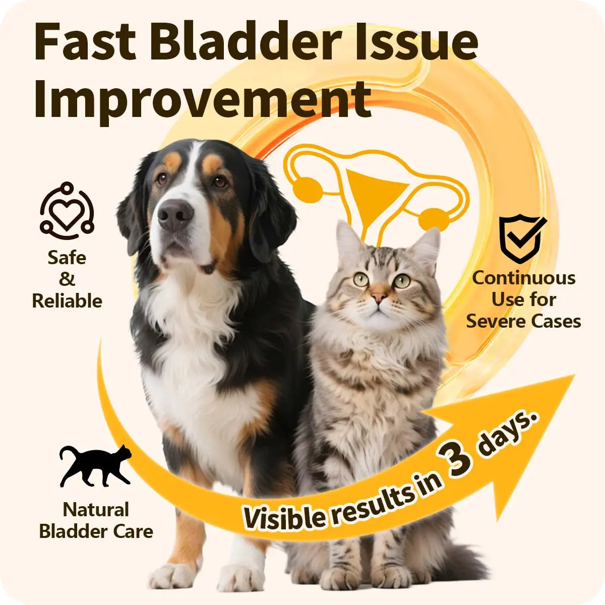 Cassiel Pet Bladder Supports Chews for Urinary Tract Health, Infection Treatments, Bladder Health, Dog UTI, Bladder Stones, Incontinence Support, Urinary Pain Relief for Cat & Dog 10 Chews (1 Bottle) Cassiel petAu supplements