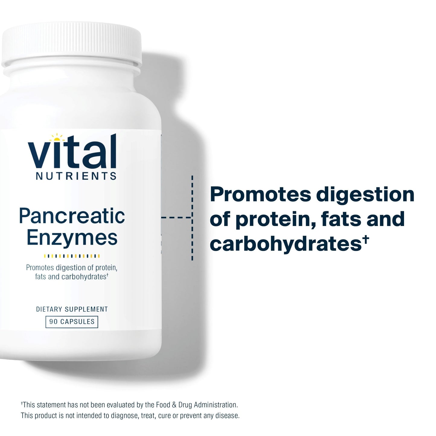 Vital Nutrients Pancreatic Enzymes 1000mg (Full Strength) - Pancreatin Digestion Supplement with Protease, Amylase & Lipase - Digestive Enzymes Vital NutrientsUS supplements