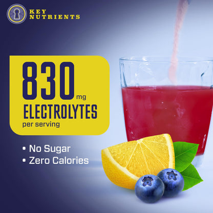 KEY NUTRIENTS Multivitamin Electrolytes Powder No Sugar - Fresh Blueberry Lemonade KEY NUTRIENTSUS supplements