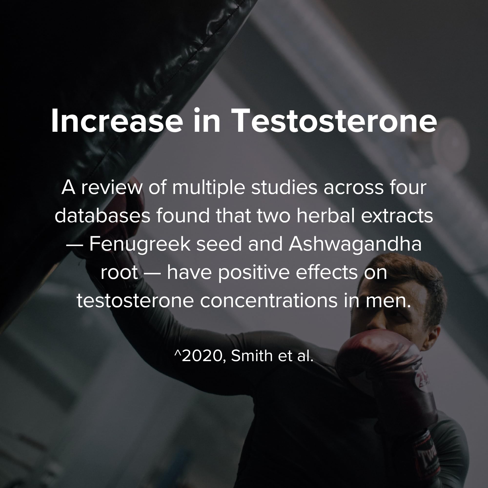 STRIVLABS Peak Potential 12-in-1 Testosterone Support for Men – Natural Strength, Energy & Muscle Builder with Tongkat Ali, Ashwagandha & Fenugreek – 90 Capsules STRIVLABSAu supplements