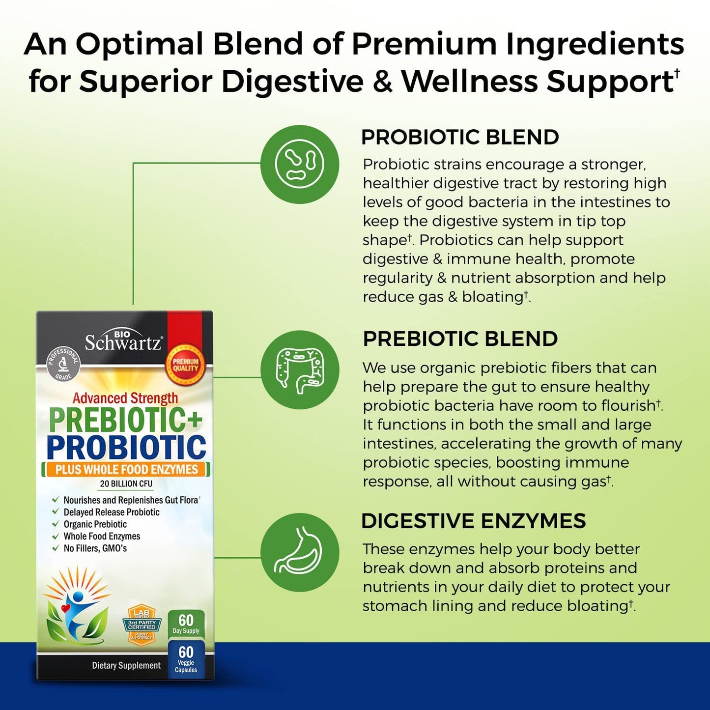 Prebiotics and Probiotic with Whole Food Enzymes for Adults Women & Men BioSchwartzUS supplements