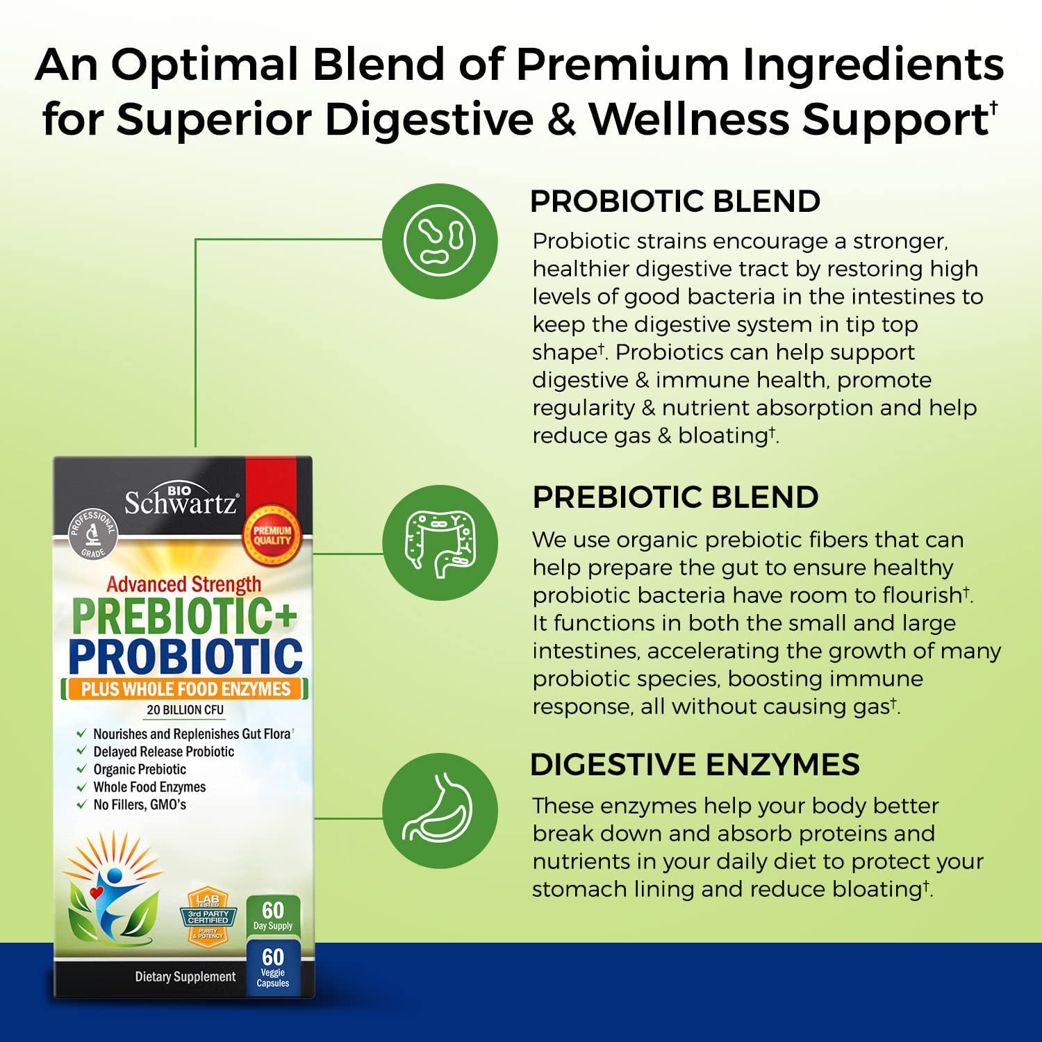Prebiotics and Probiotic with Whole Food Enzymes for Adults Women & Men BioSchwartzAu supplements
